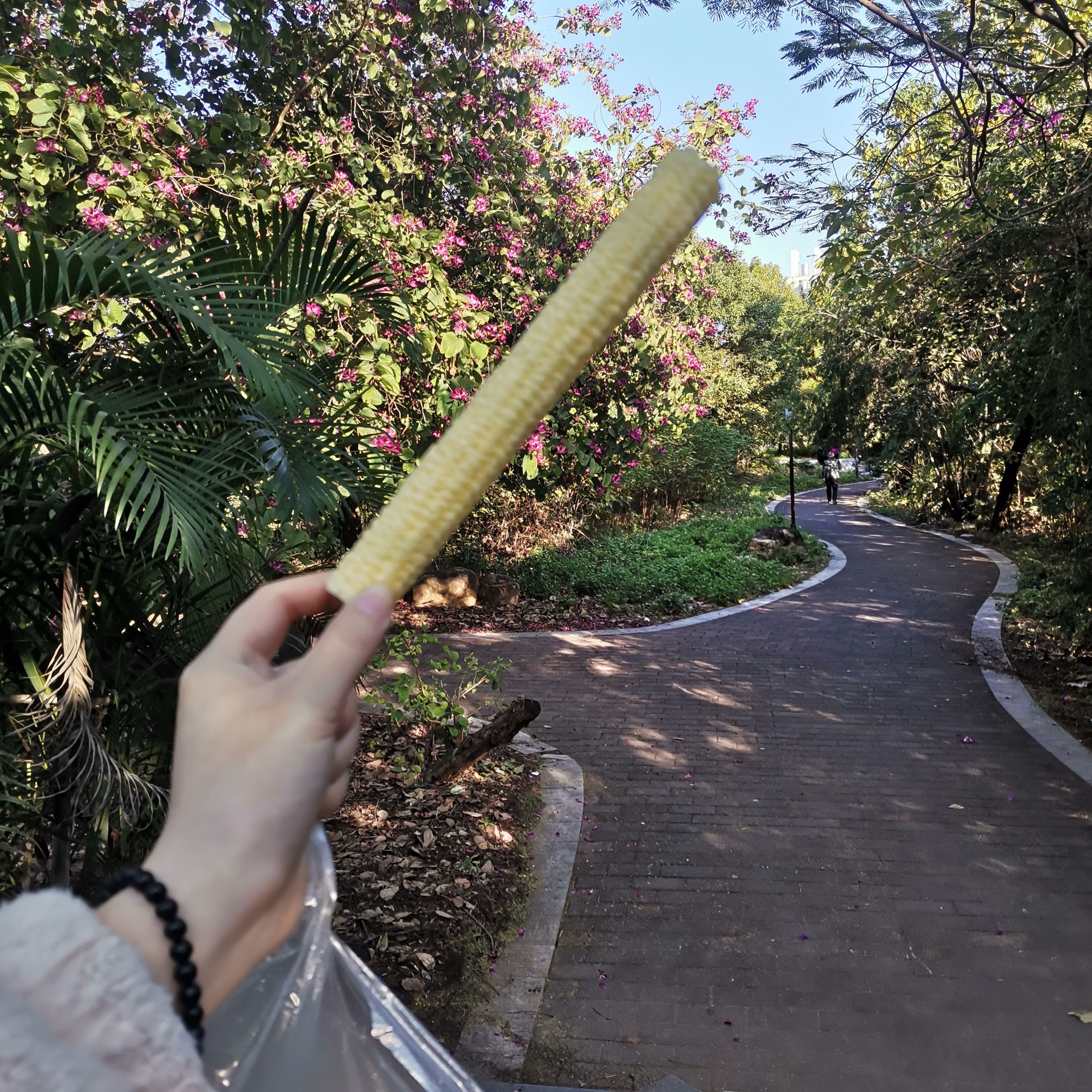 白云中央湿地旅行图片