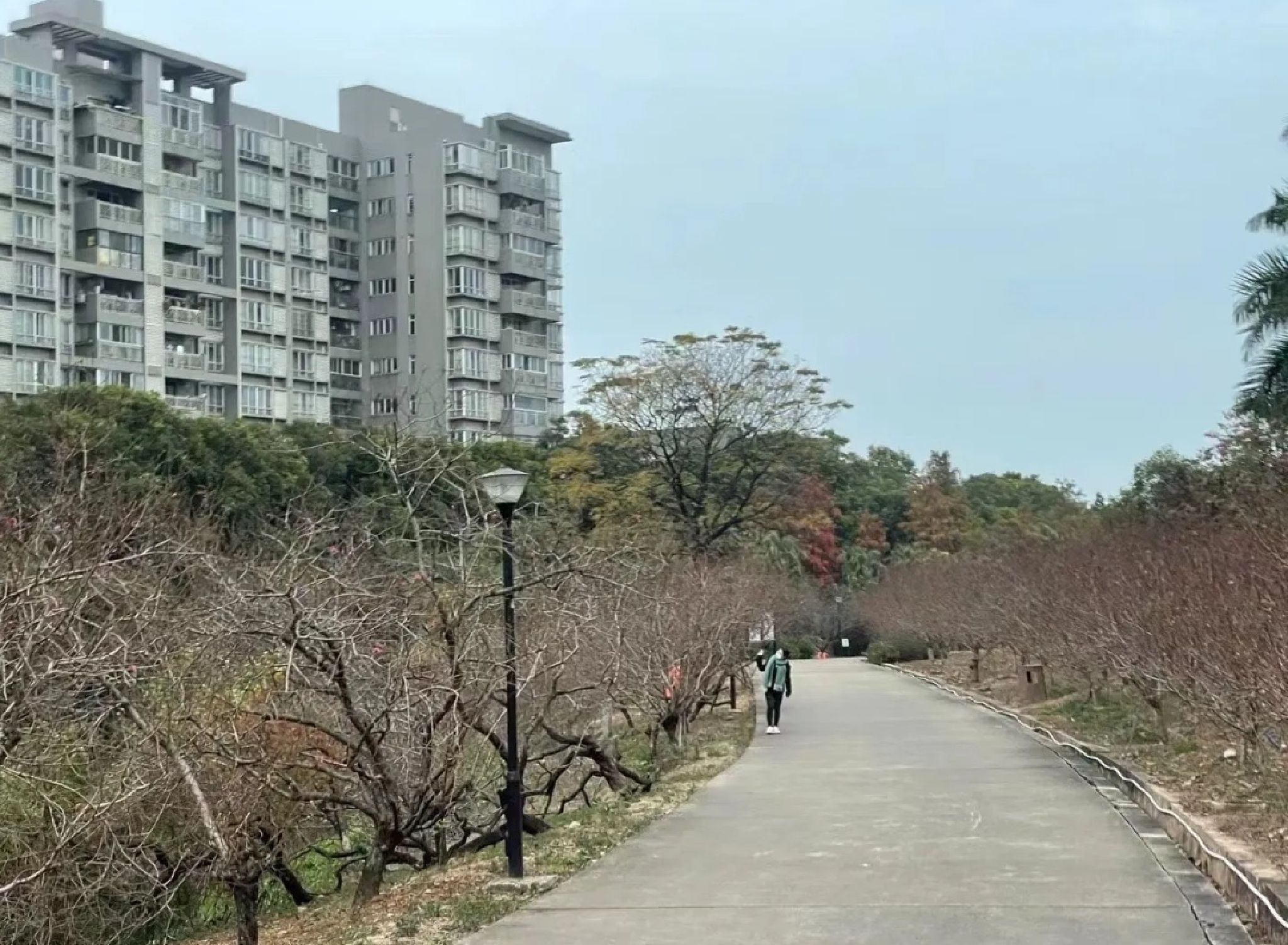 白云中央湿地旅行图片