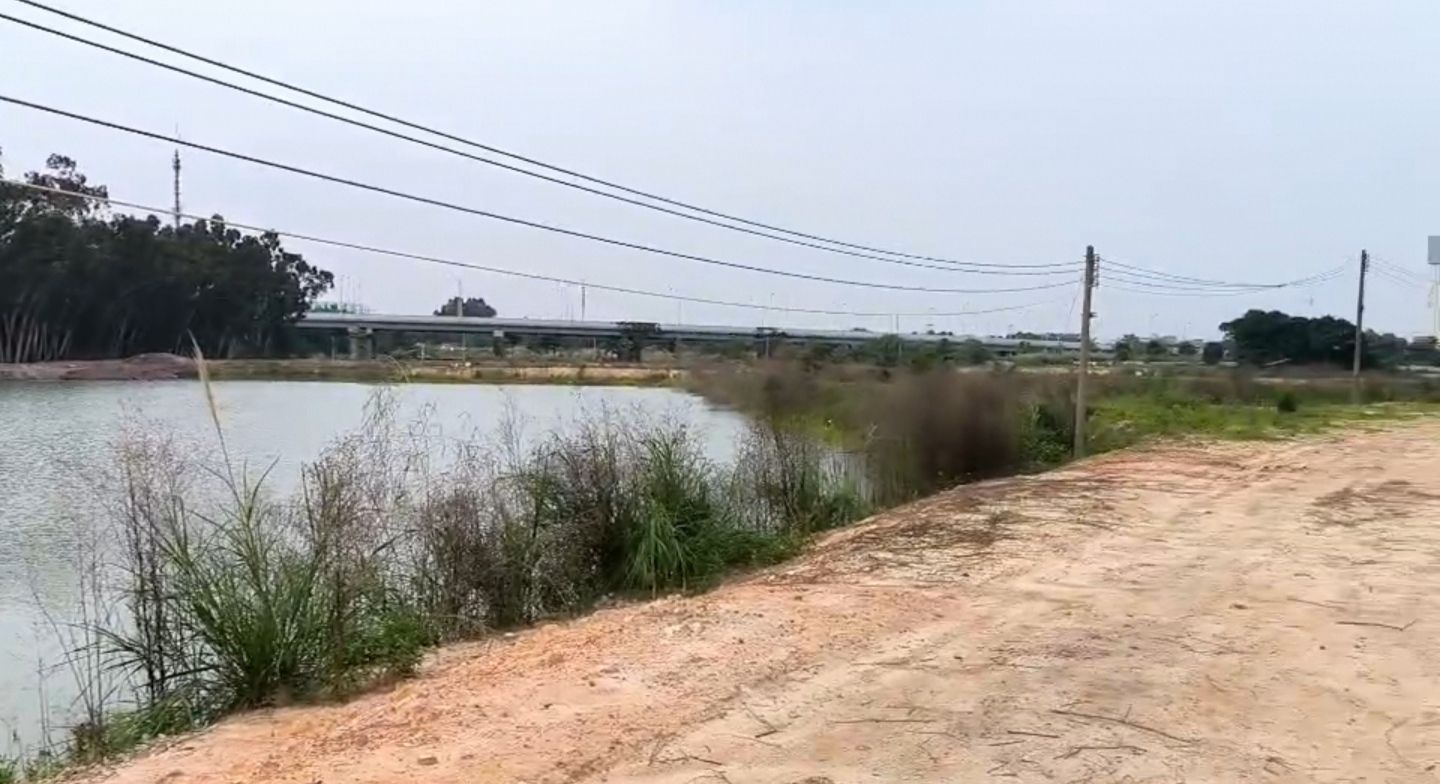 白云中央湿地旅行图片