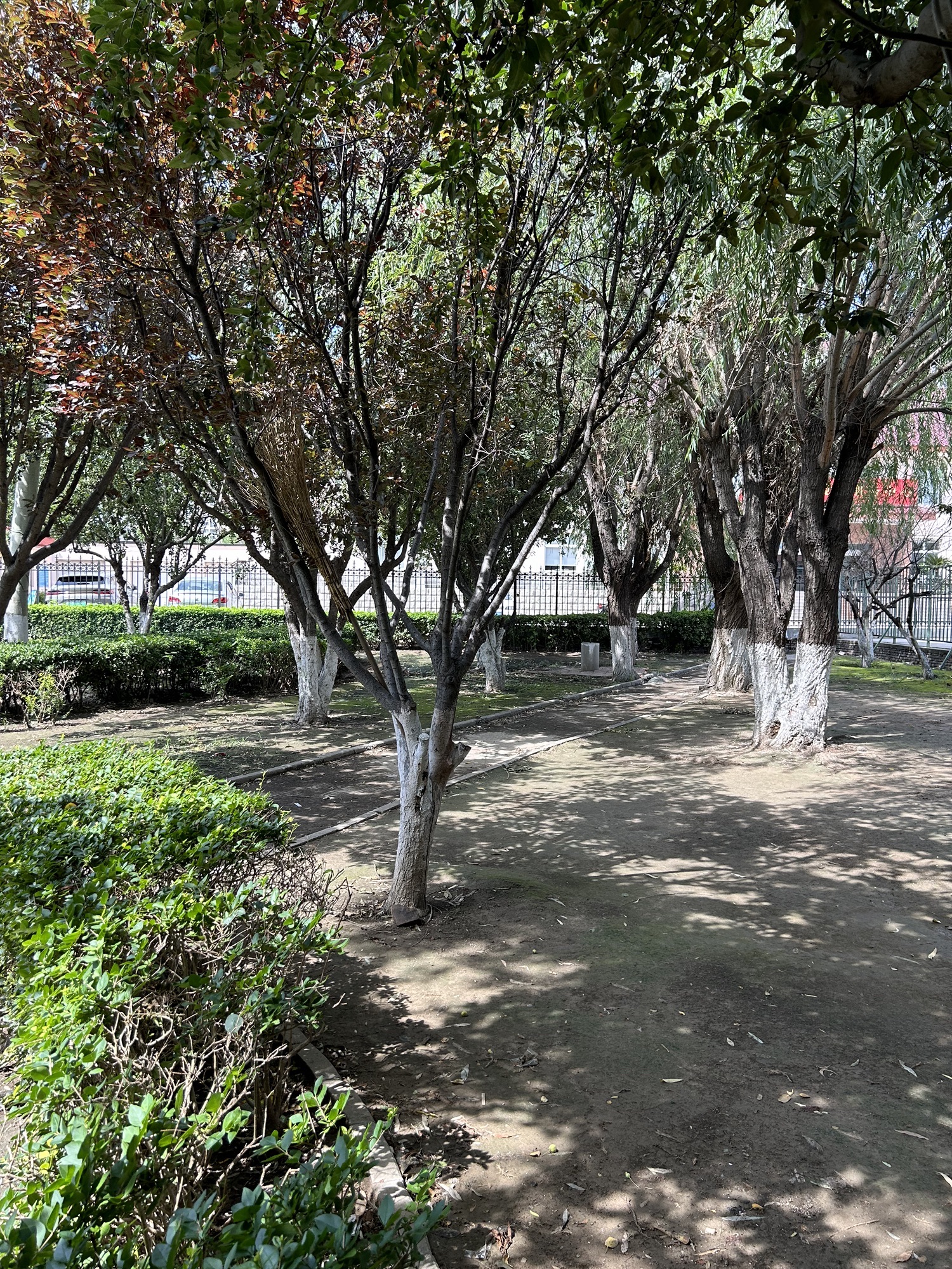 东姜井公园