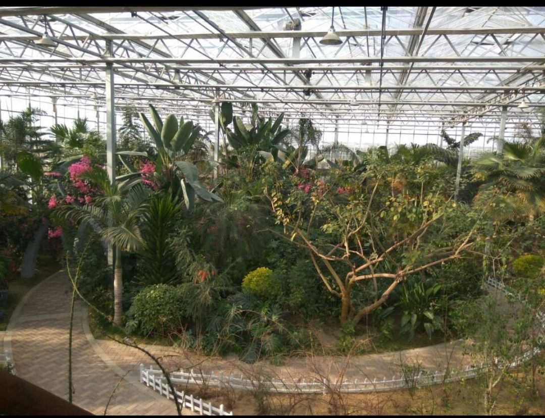 灵璧植物园