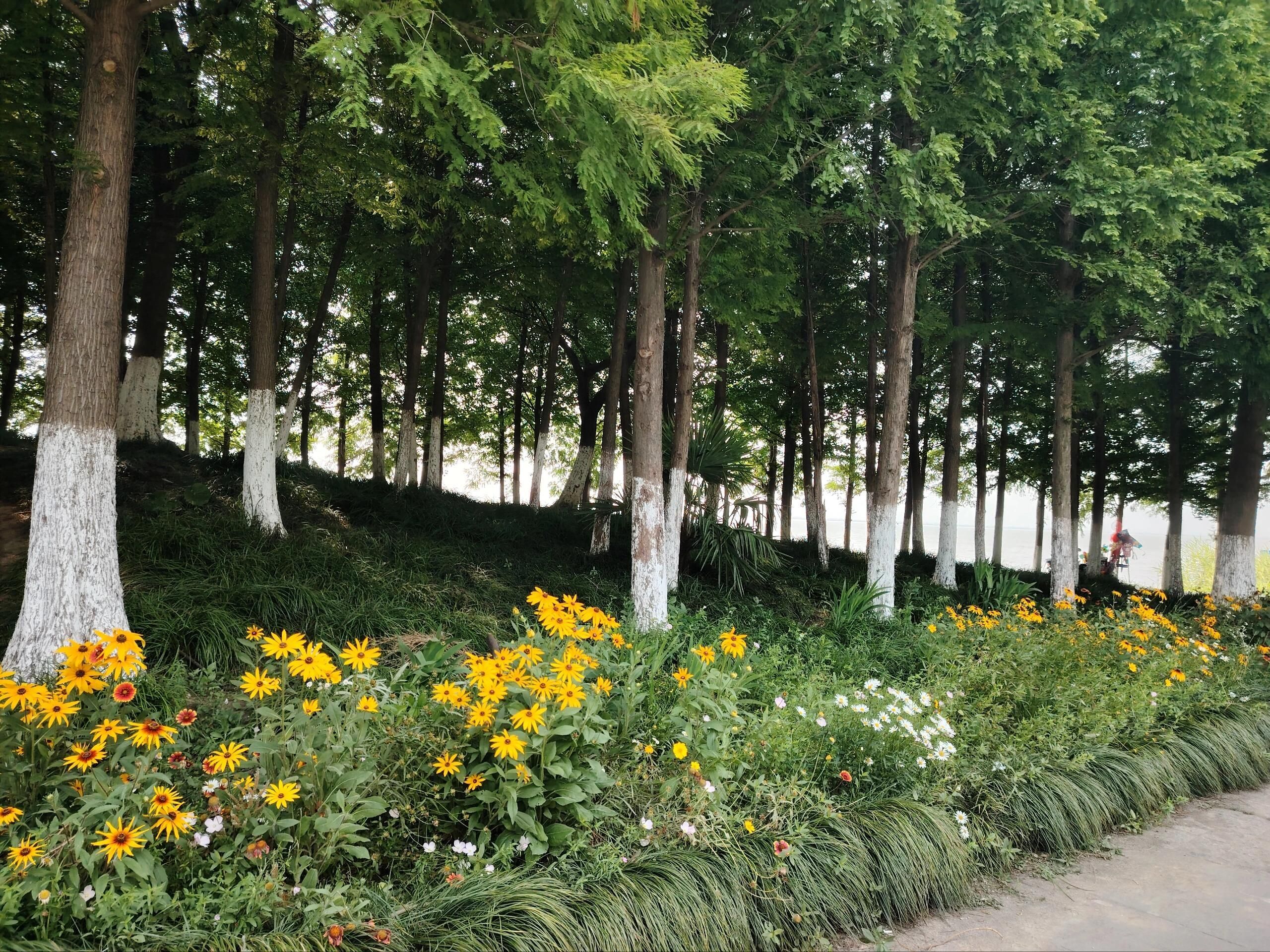 巴城阳澄湖旅游度假区旅行图片