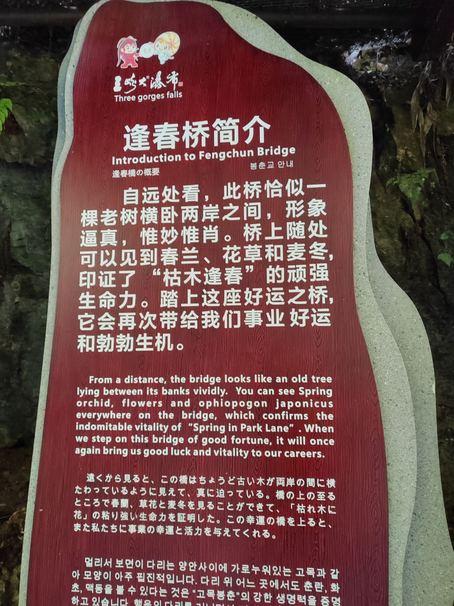 青陵台旅行图片
