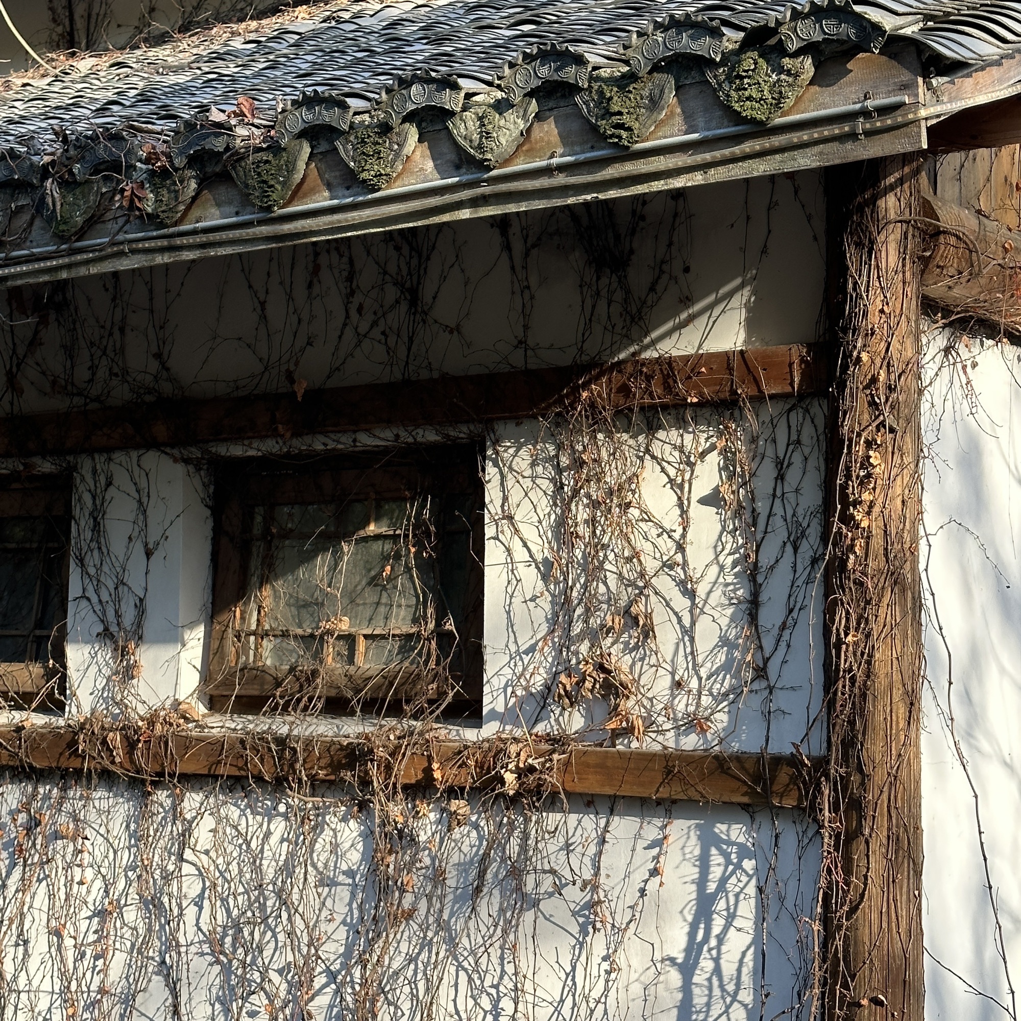东湖公园旅行图片