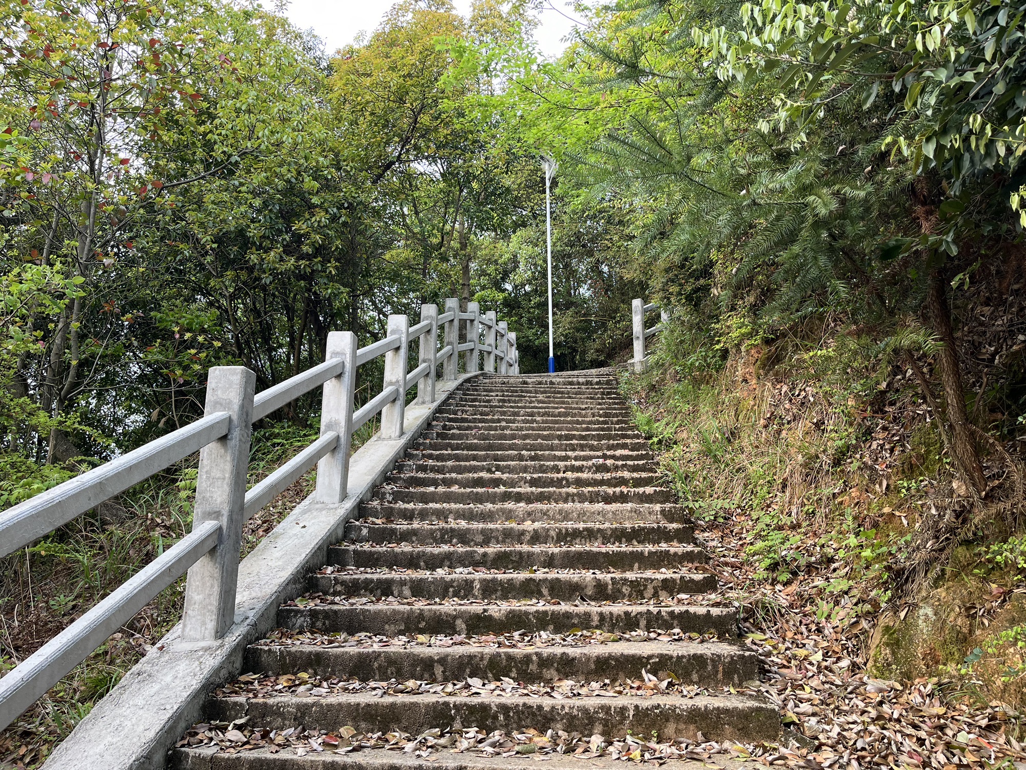麂山风景区旅行图片