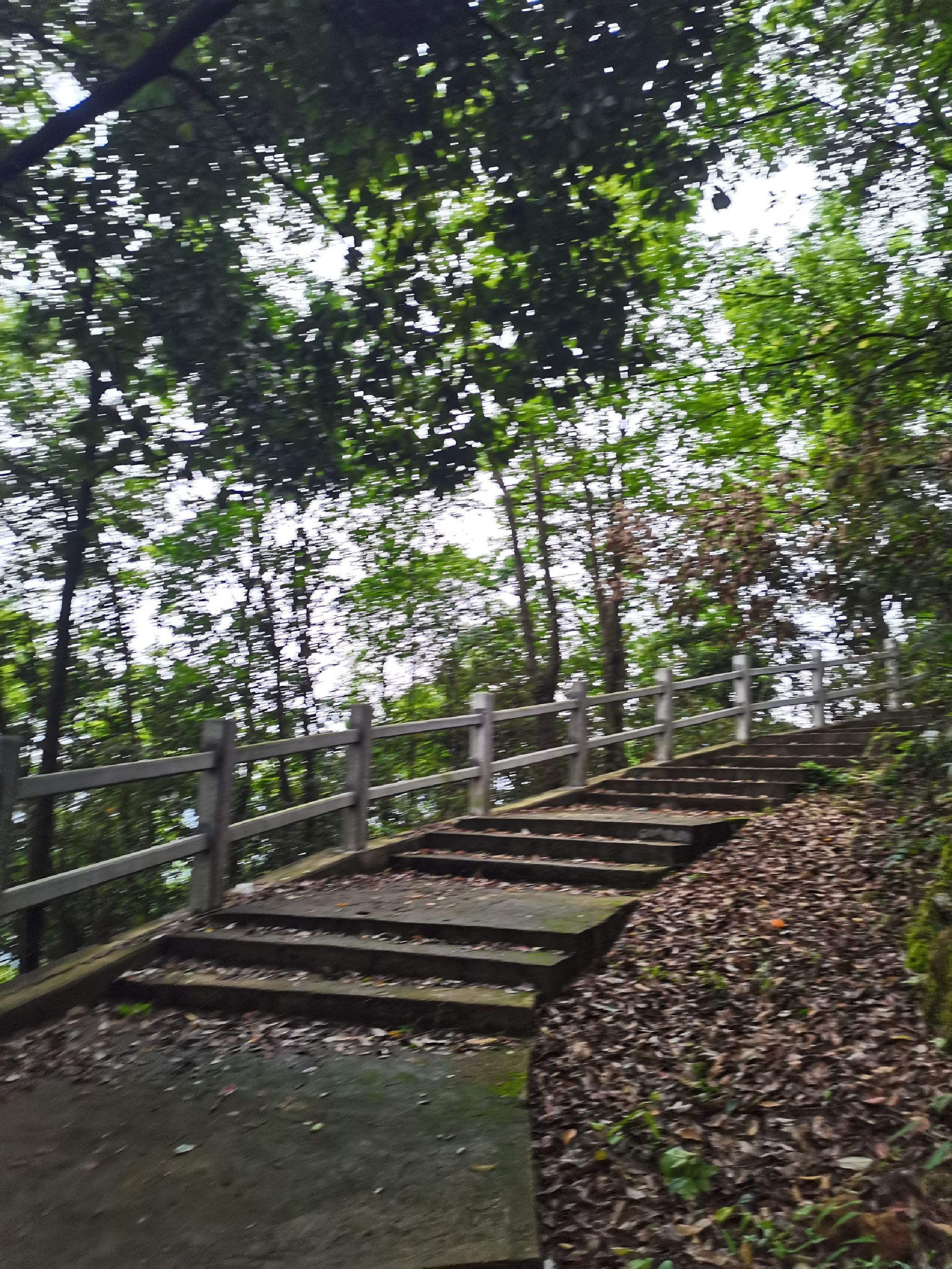 麂山风景区旅行图片