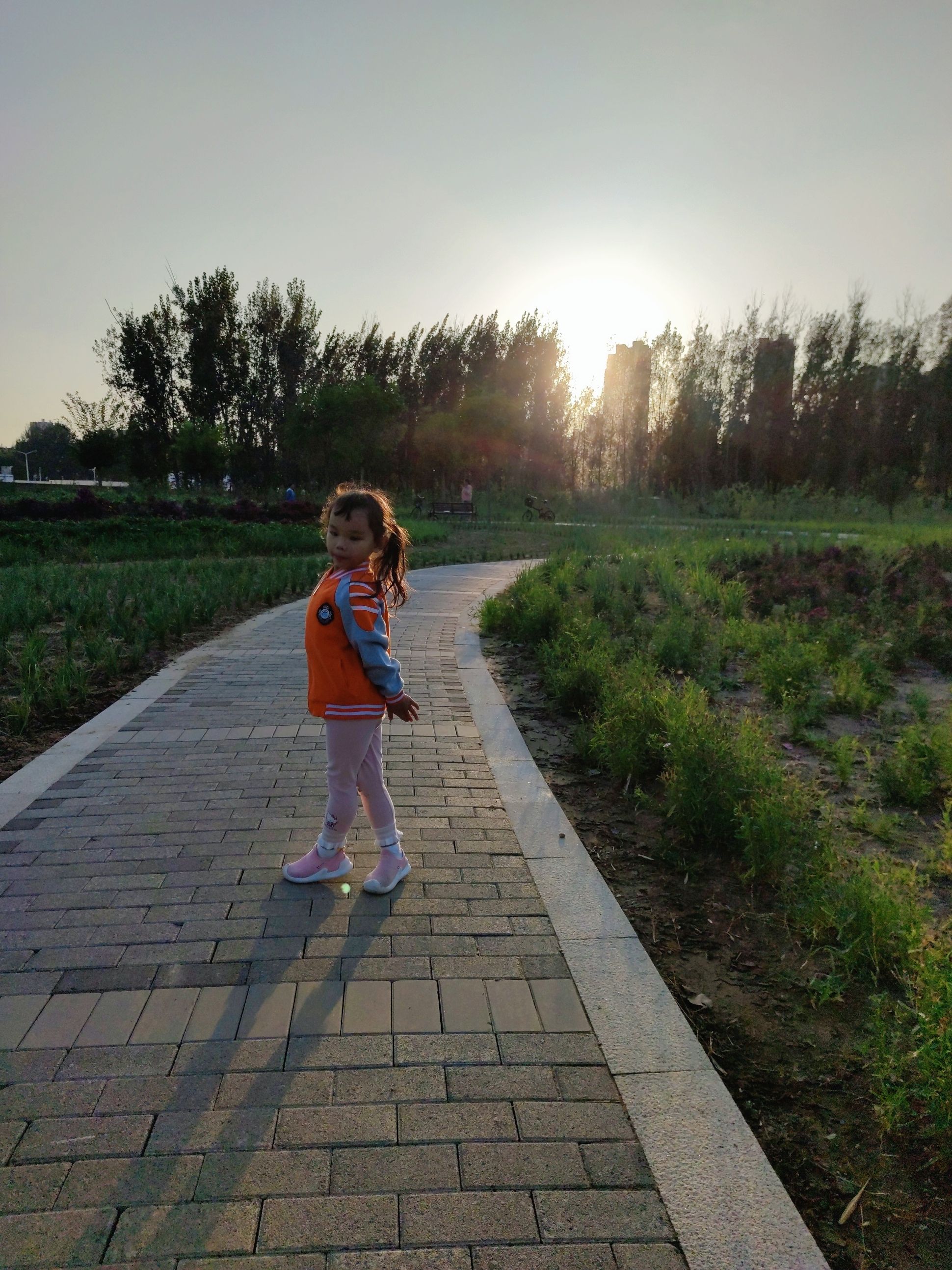 礼湖森林公园旅行图片