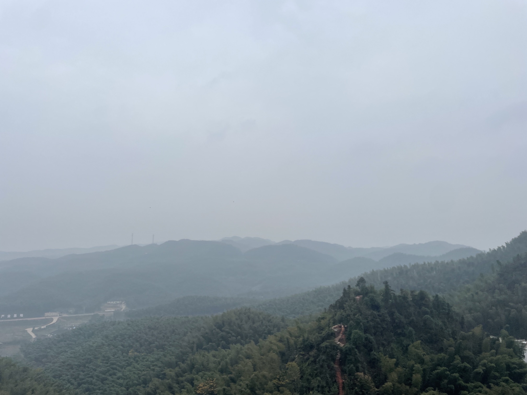 大旺竹海旅行图片