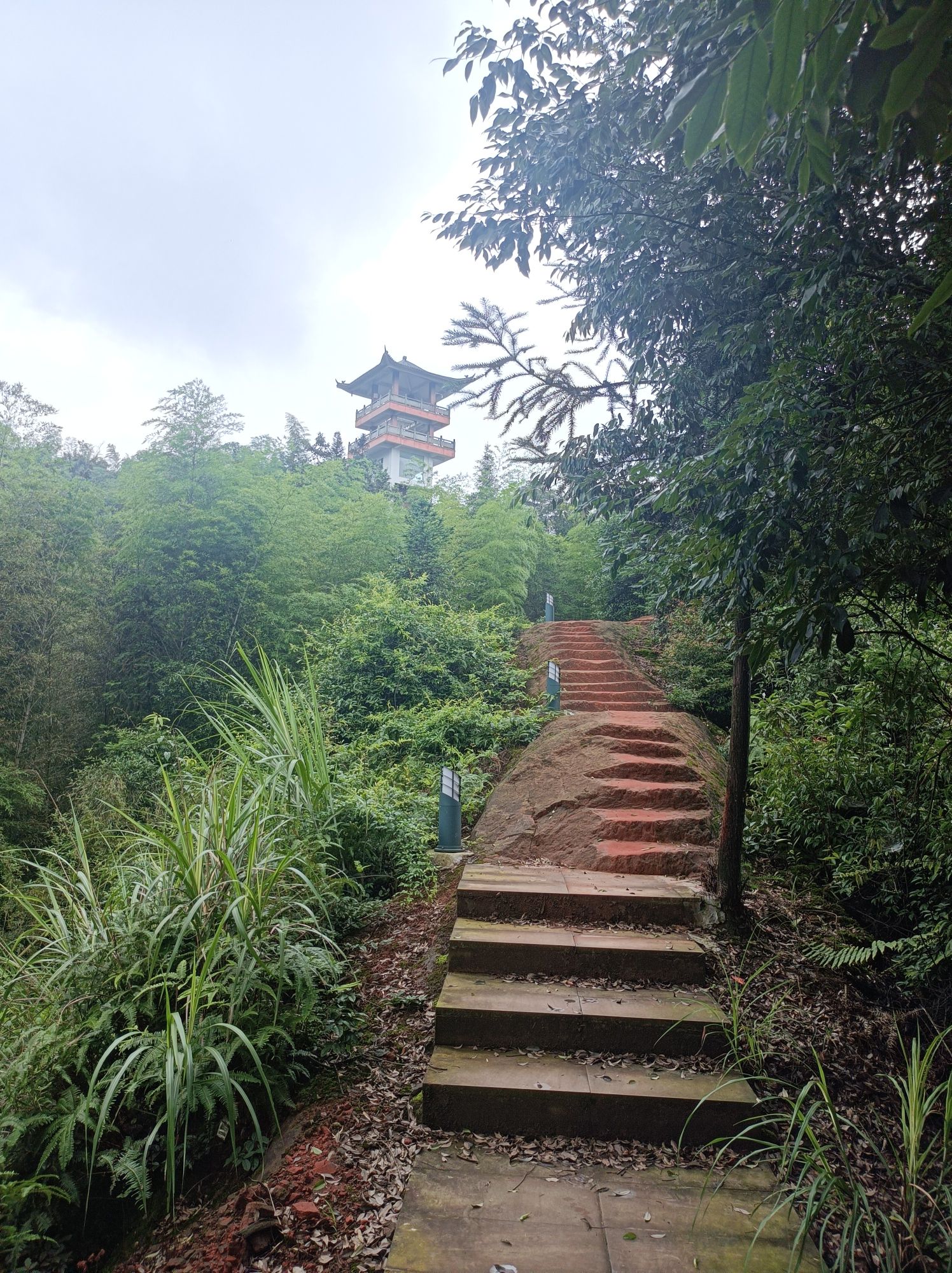 大旺竹海旅行图片