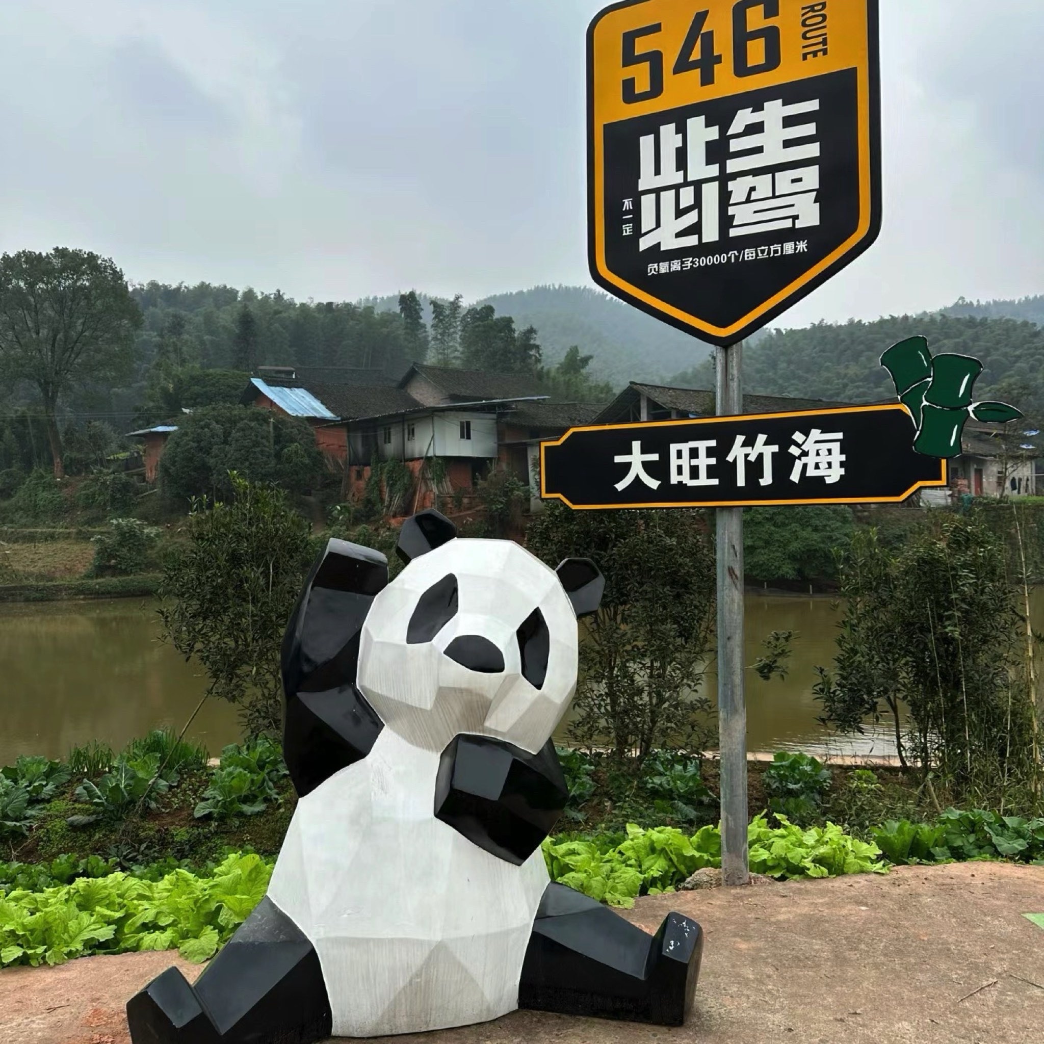 大旺竹海旅行图片