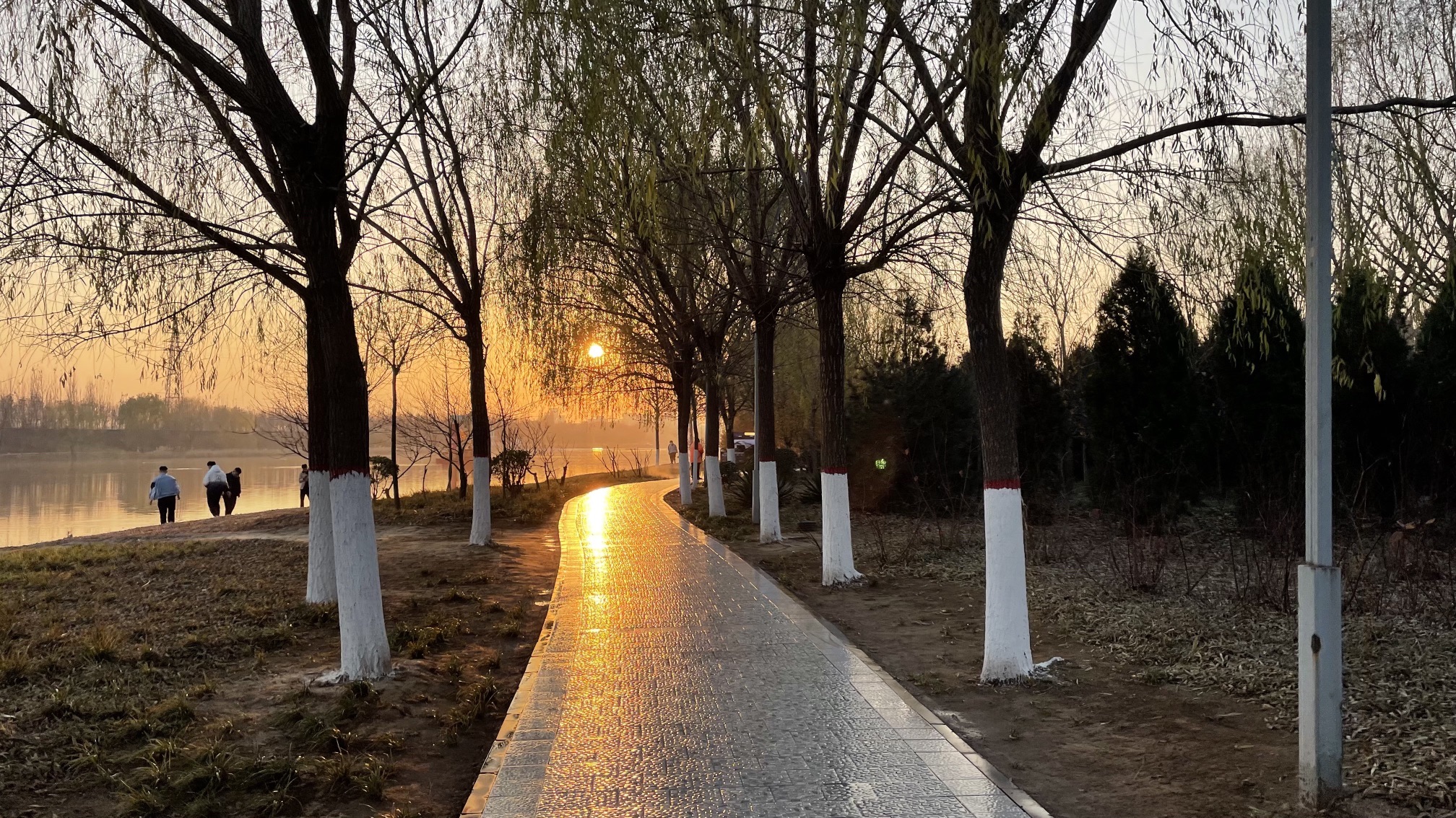 七里河沙滩公园旅行图片