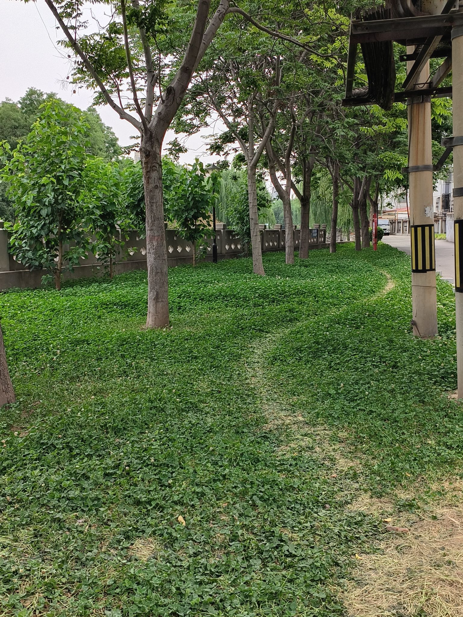 七里河沙滩公园旅行图片