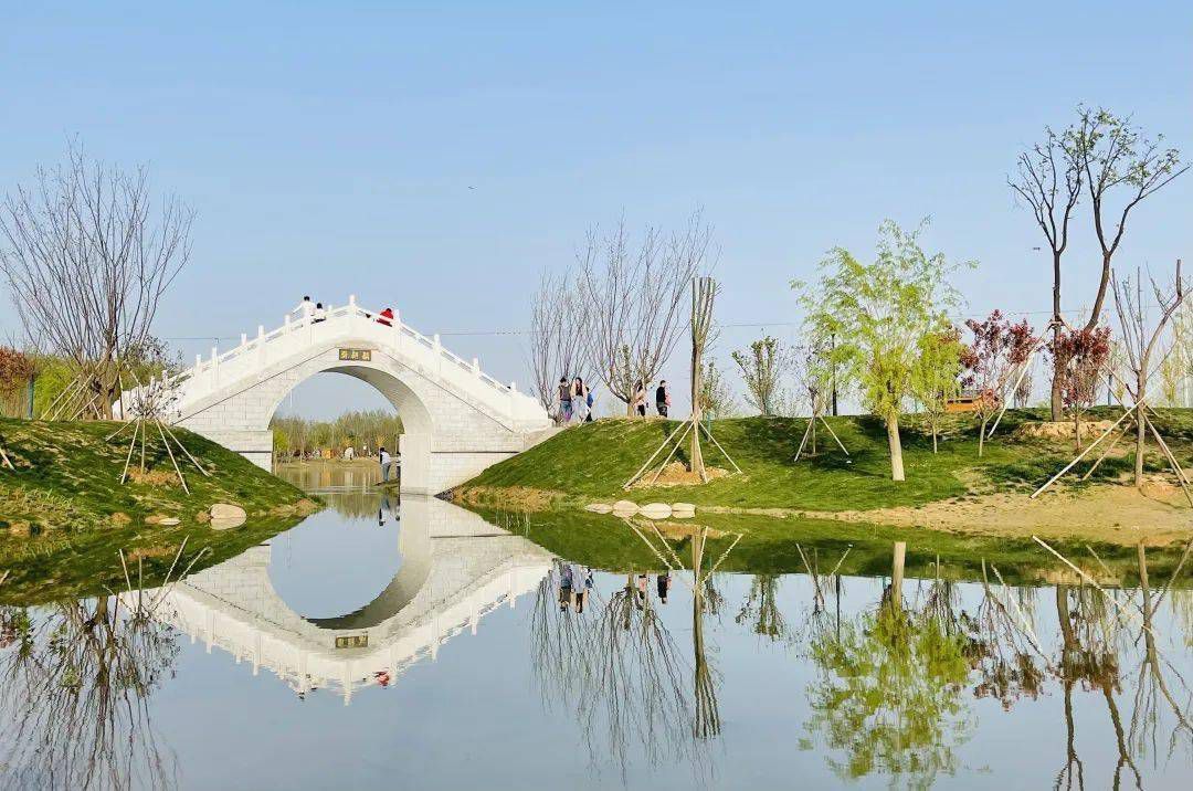 淮阳主题森林公园·梅园