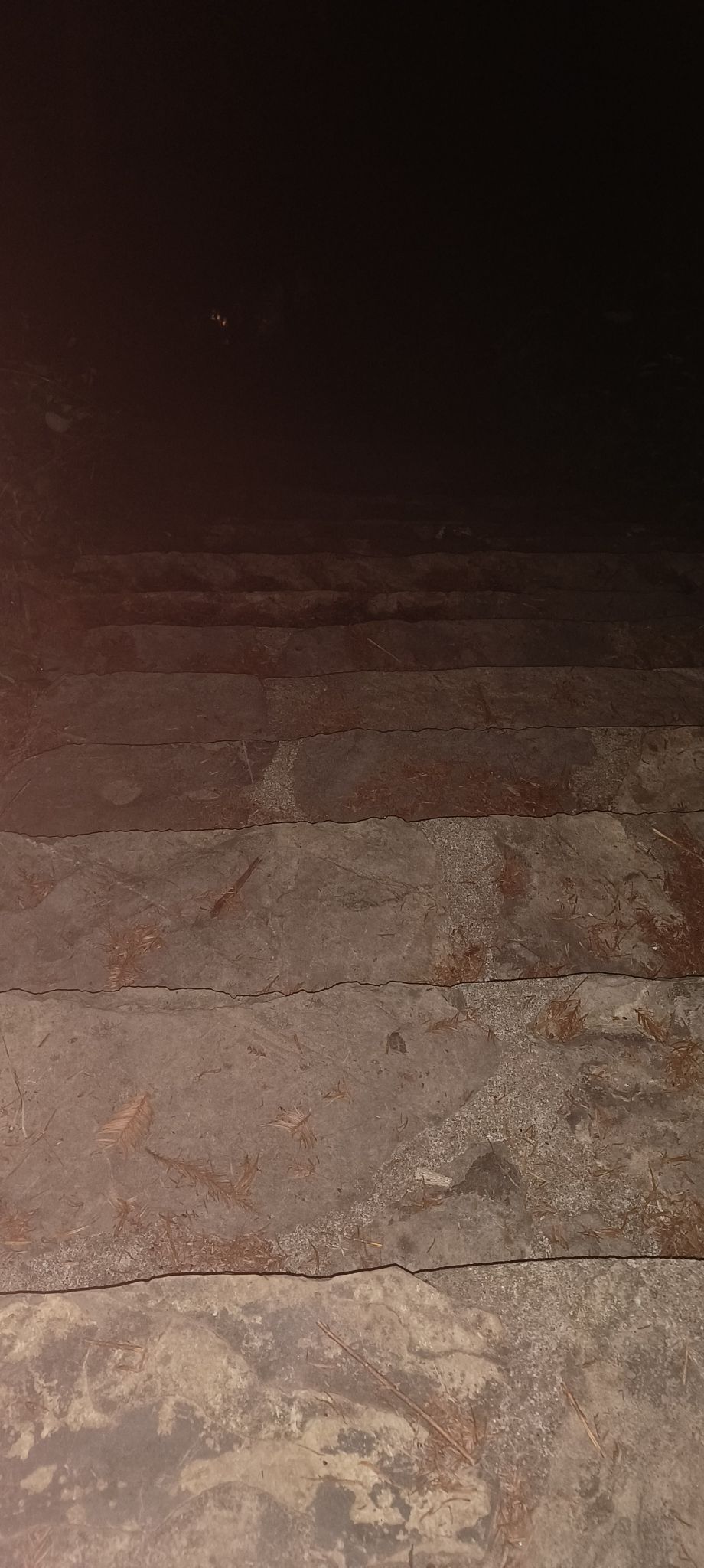 常德太阳山森林公园旅行图片