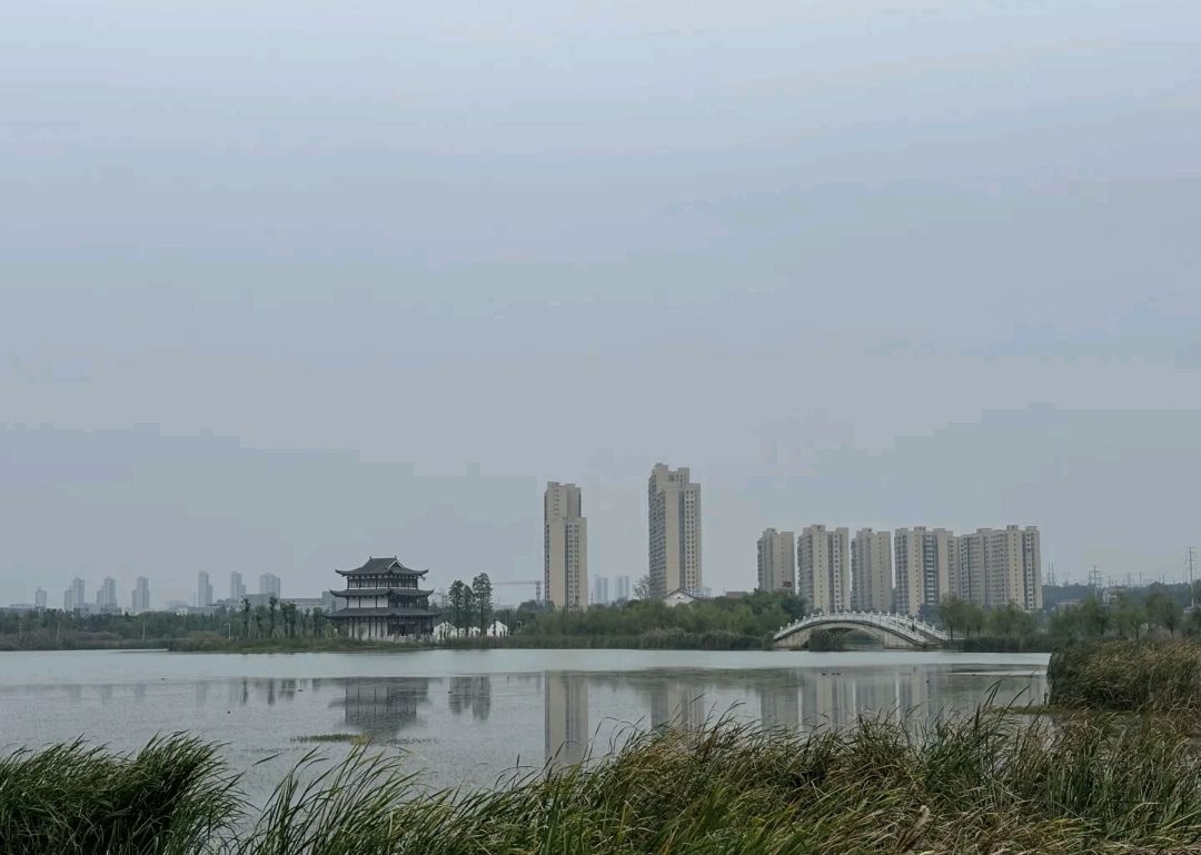 酃湖公园旅行图片