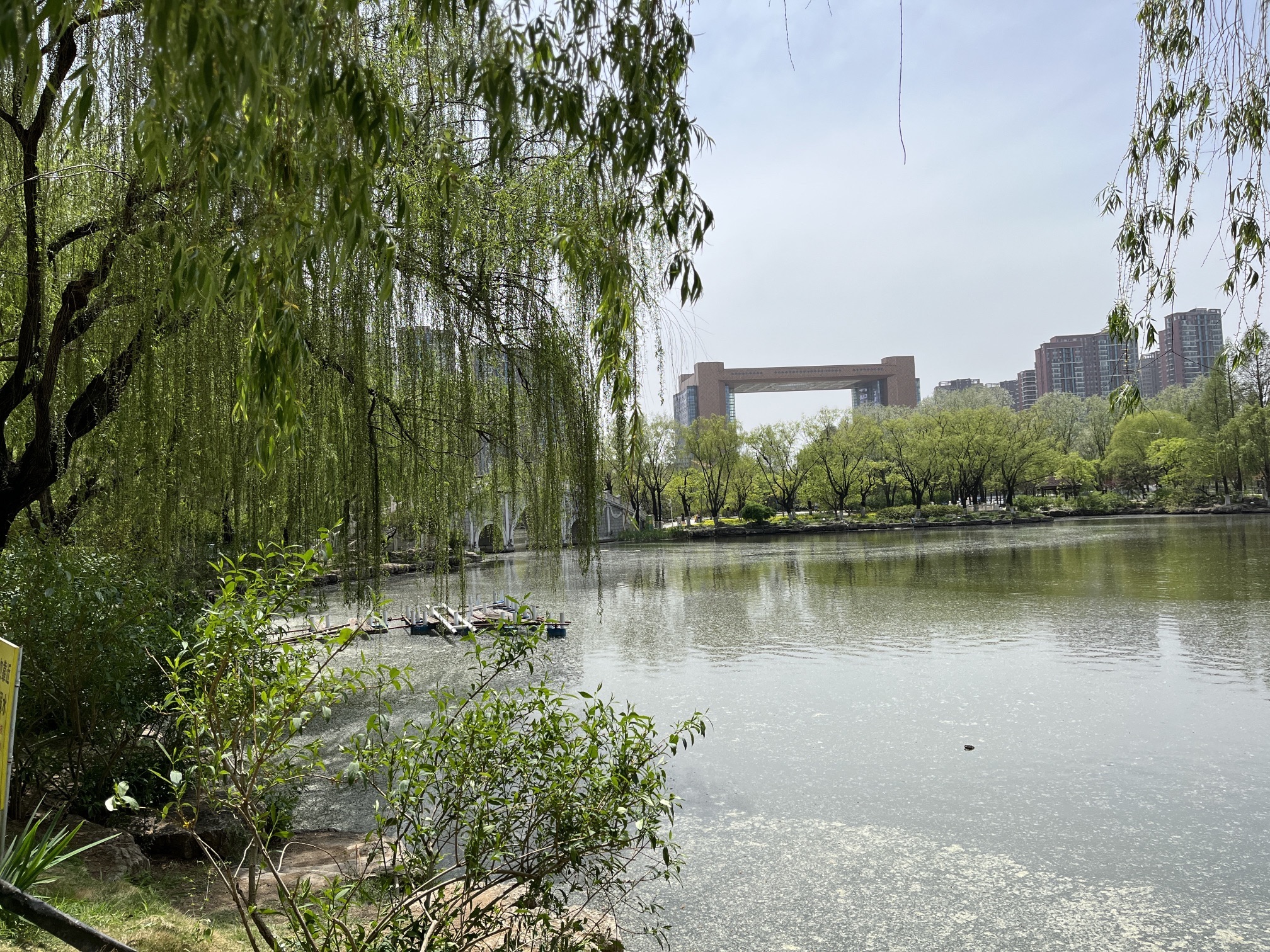 五洲湖