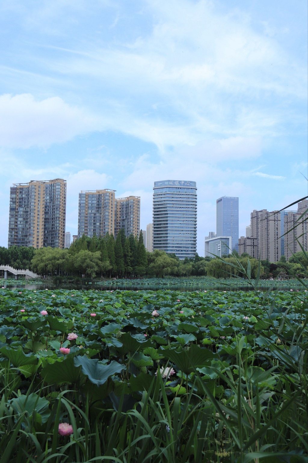 五洲湖旅行图片
