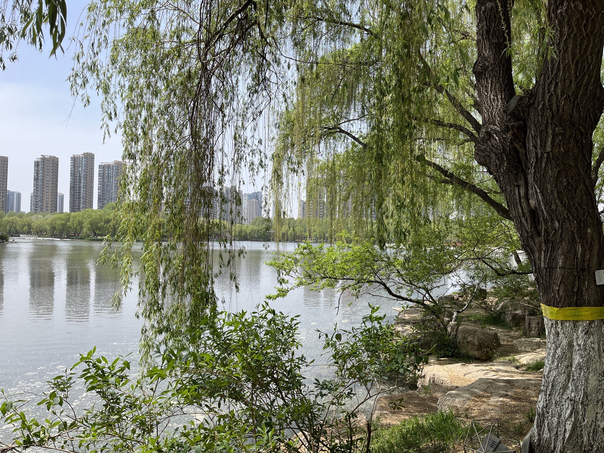 五洲湖旅行图片