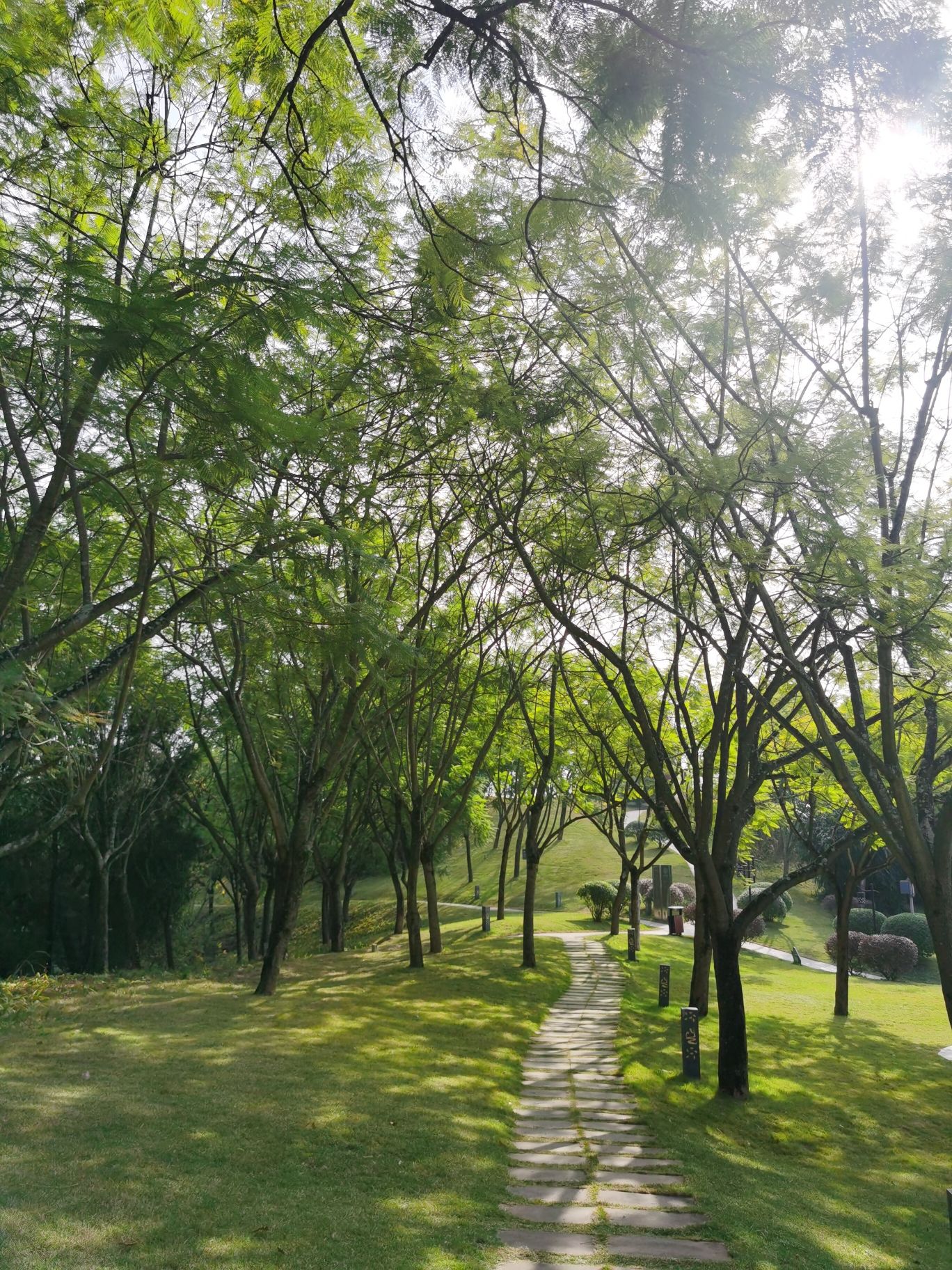 简阳鳌山公园旅行图片
