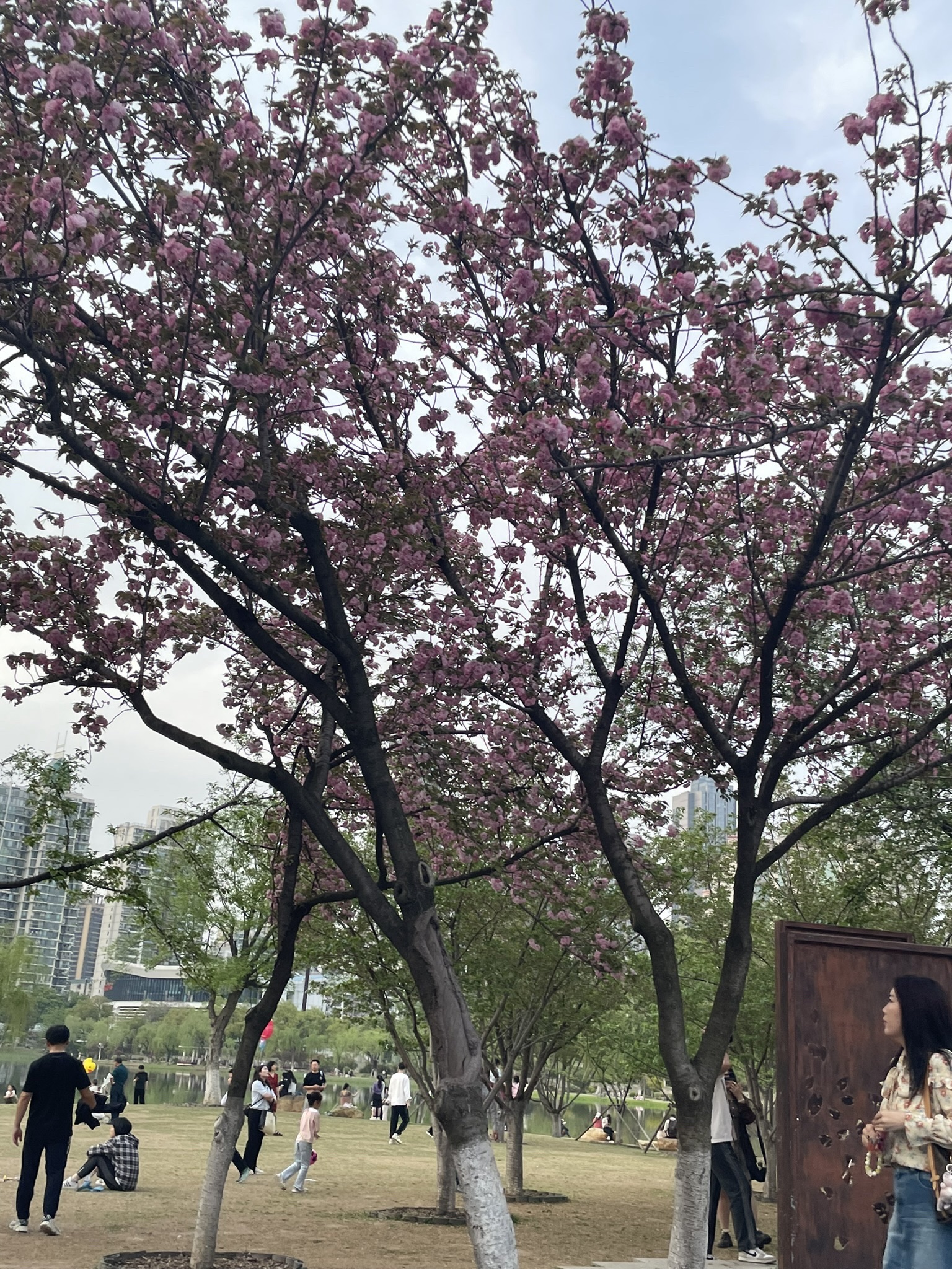 西北湖广场