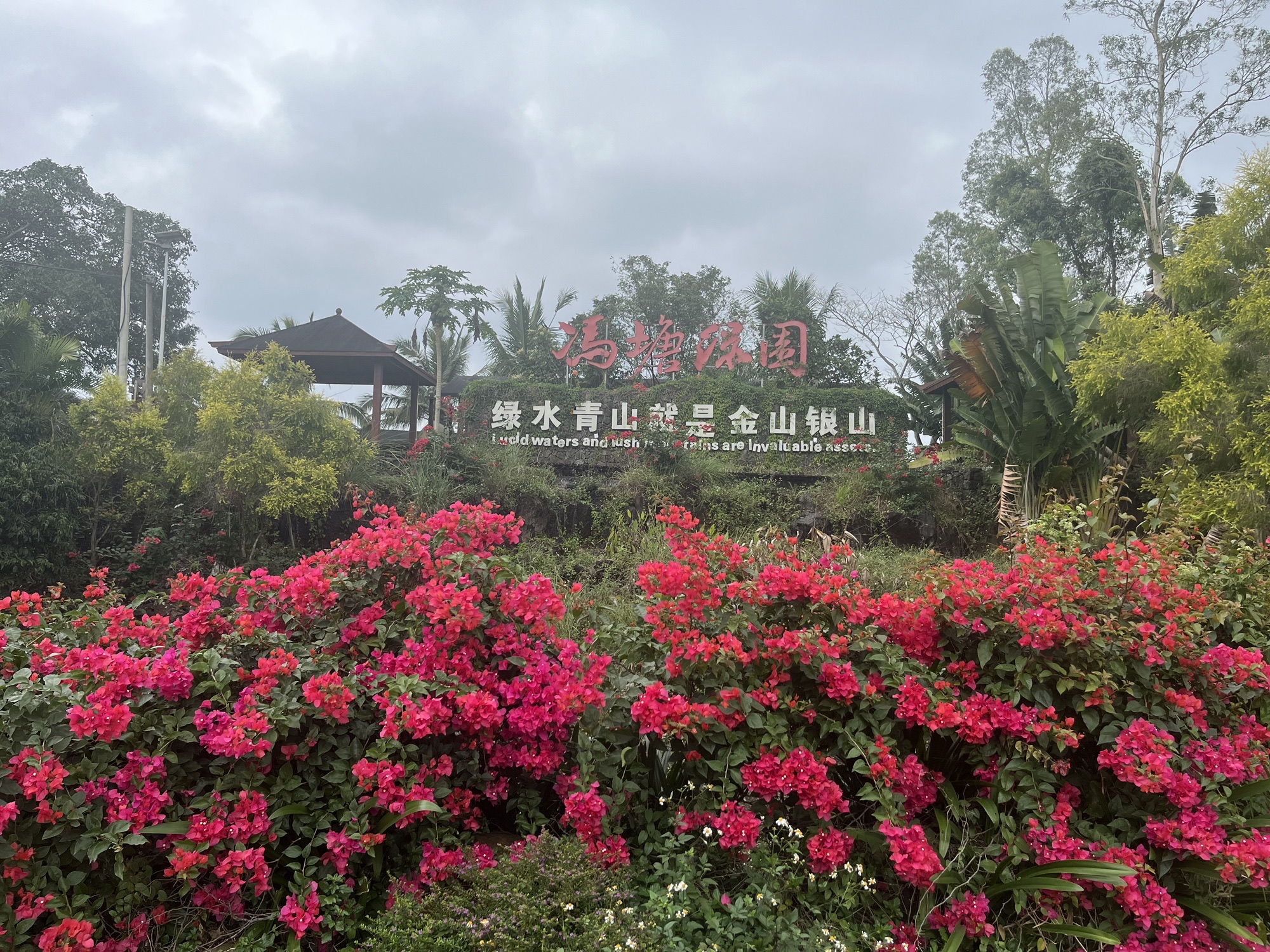 冯塘绿园旅行图片