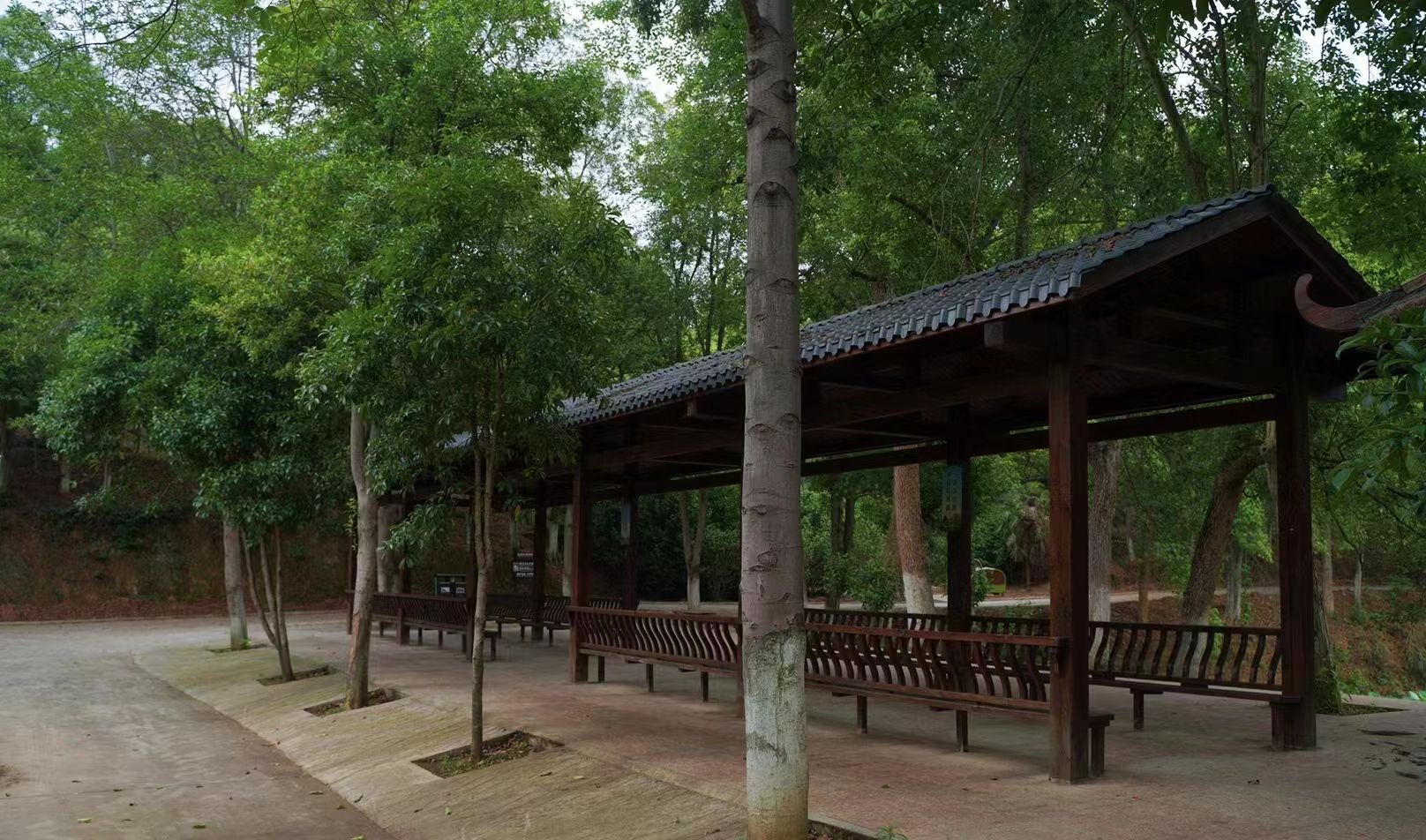 邵阳市宝庆森林公园