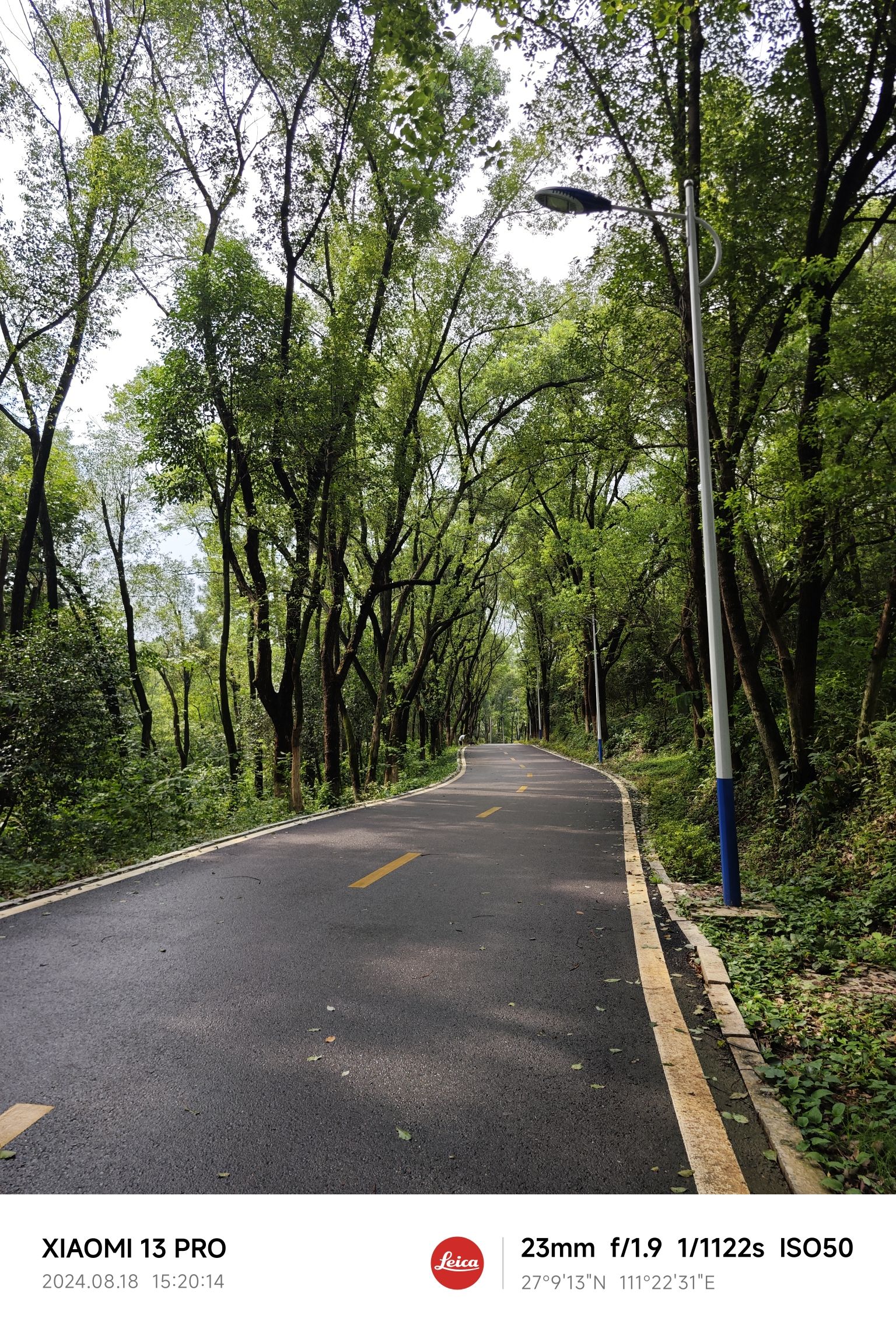 邵阳市宝庆森林公园旅行图片