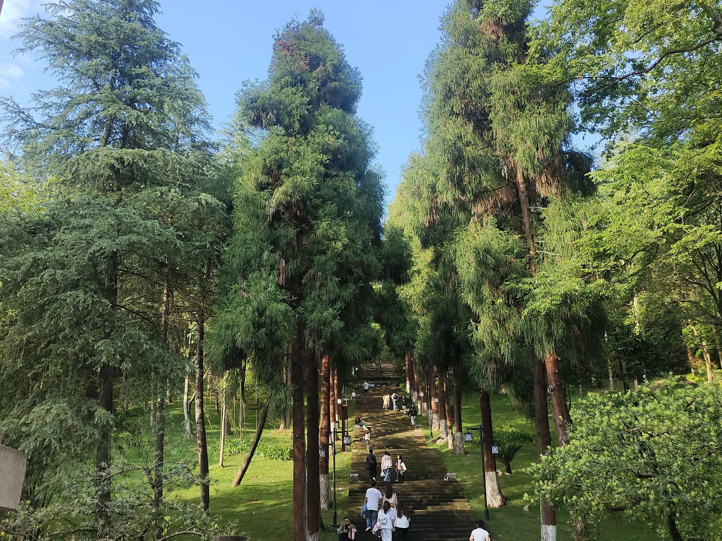凤凰山国家森林公园