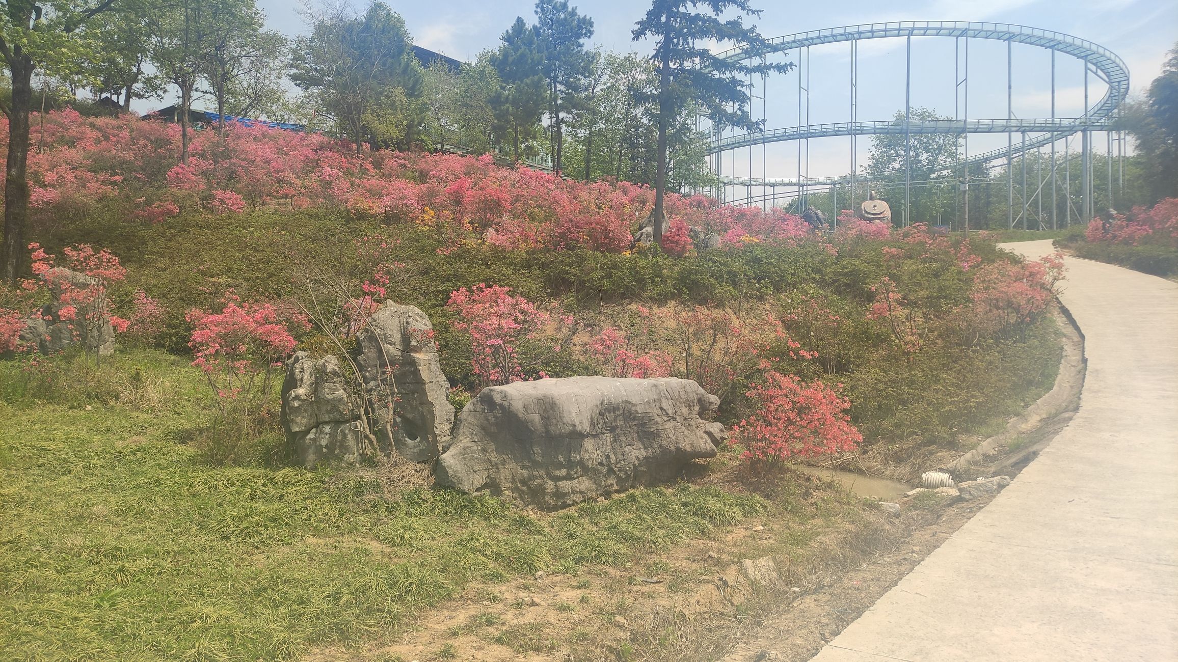 铜陵梧桐花谷景区