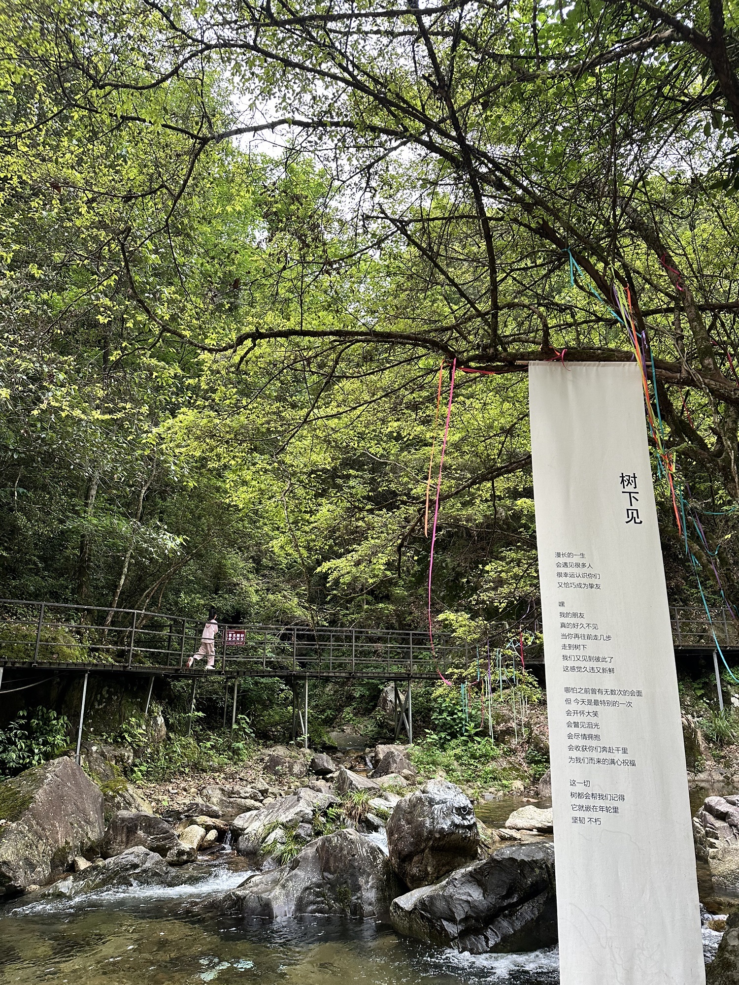 醉山野景区