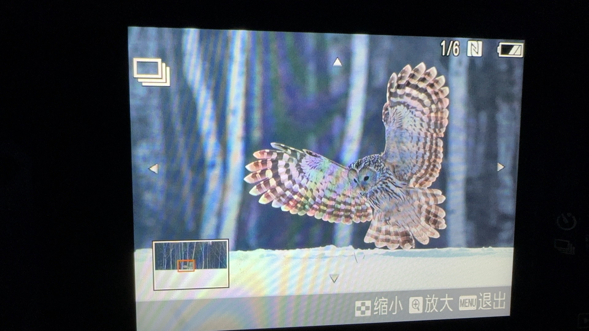逊克县古纳温雾凇景区