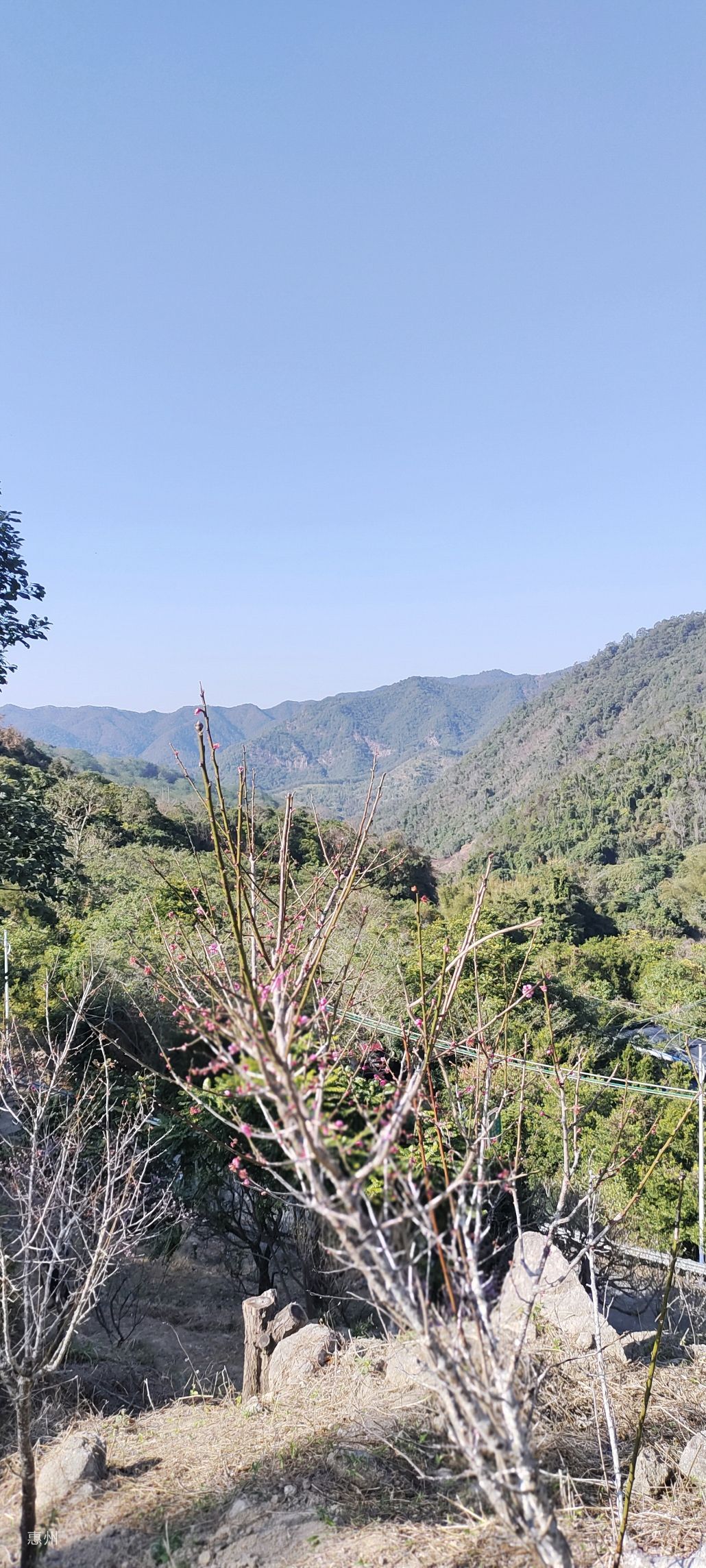 广东梁化国家森林公园