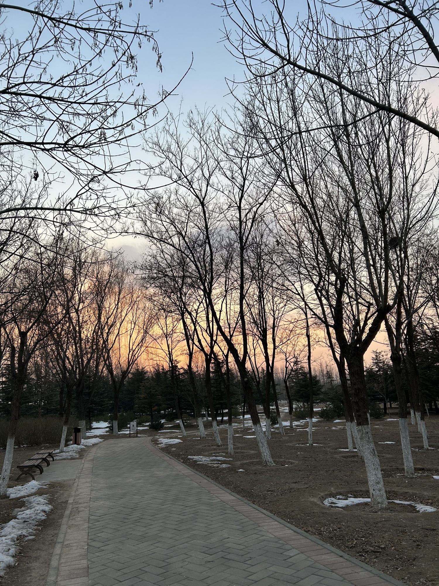 昌平新城滨河森林公园(沙河)旅行图片