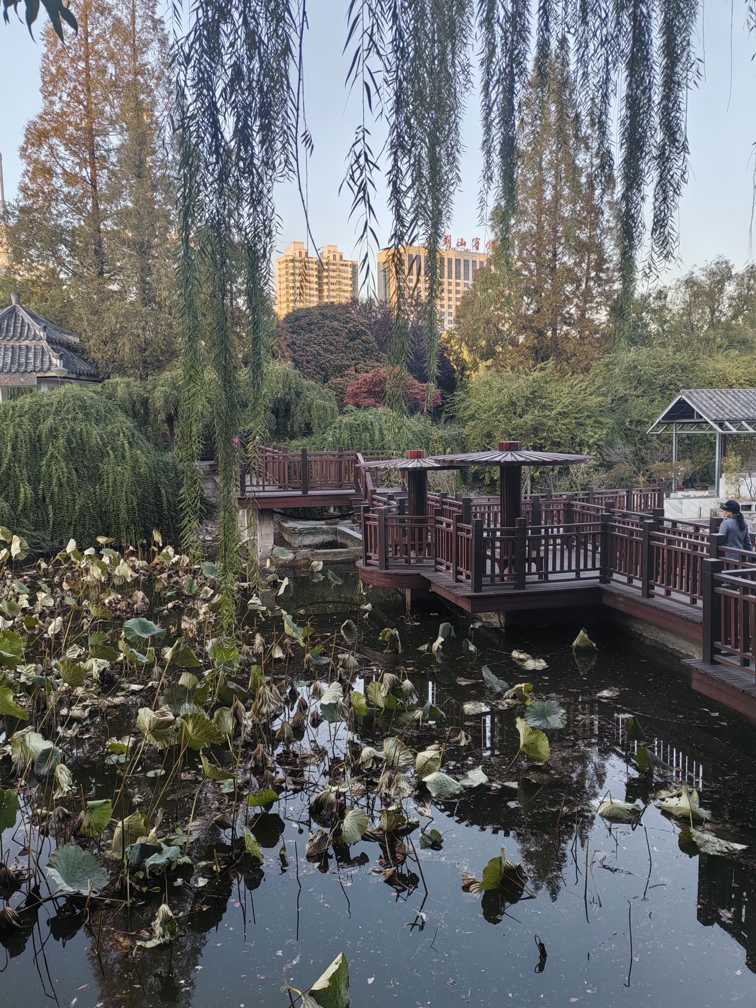 南阳卢园旅行图片