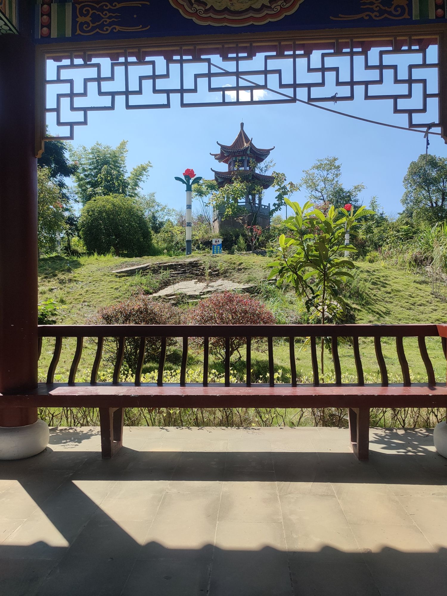 樱花谷旅行图片
