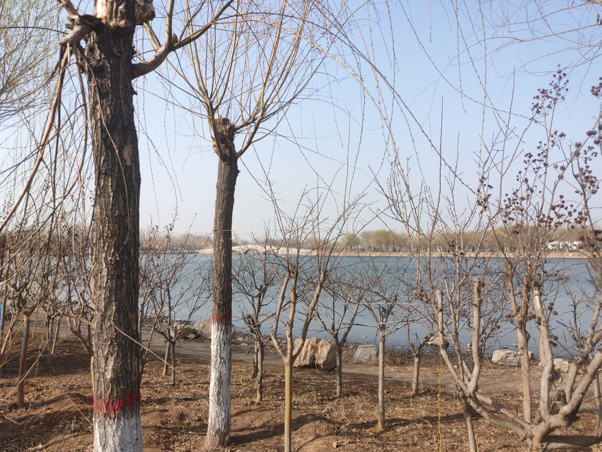 北湖公园旅行图片