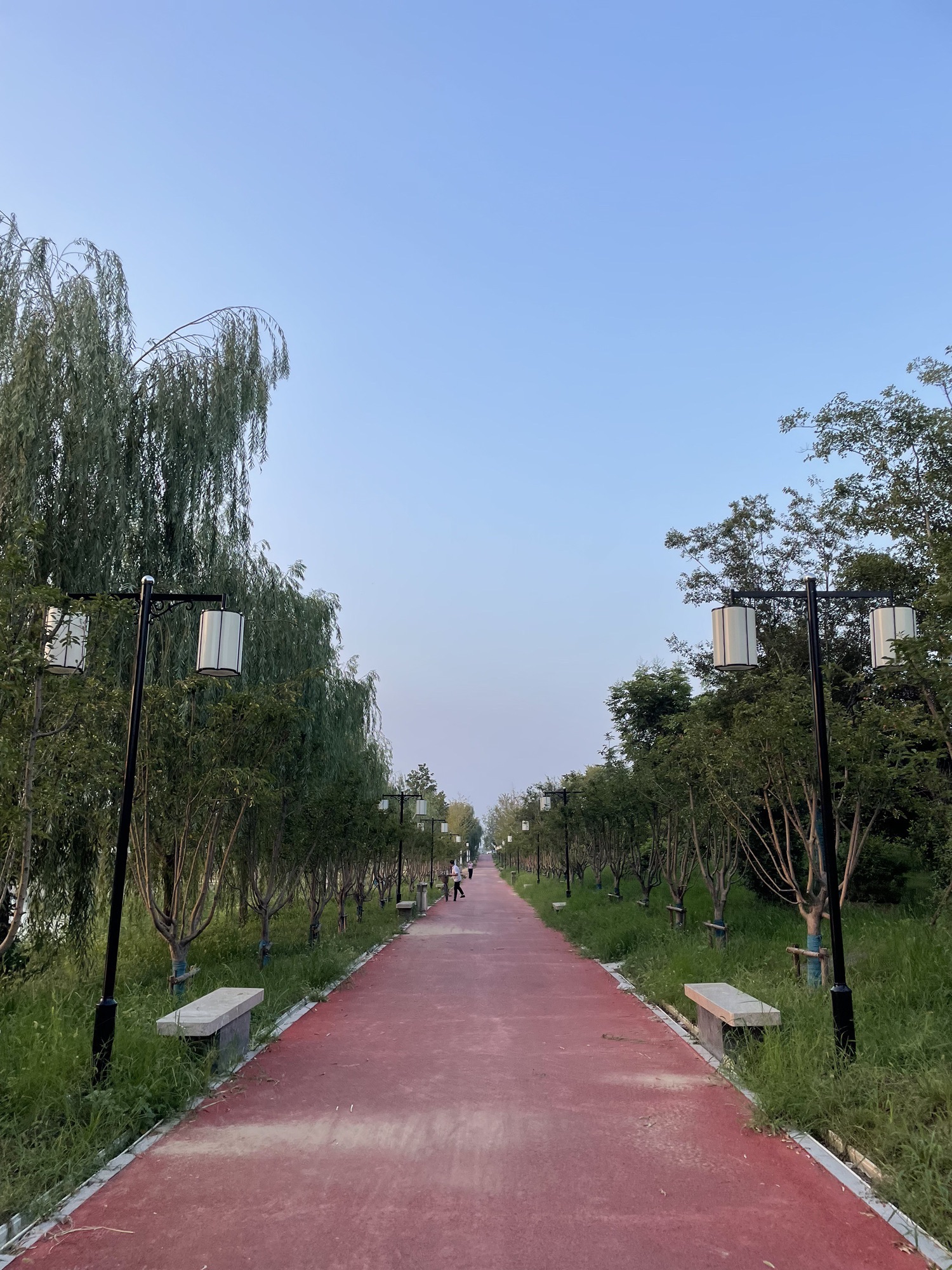 宋金河生态公园旅行图片