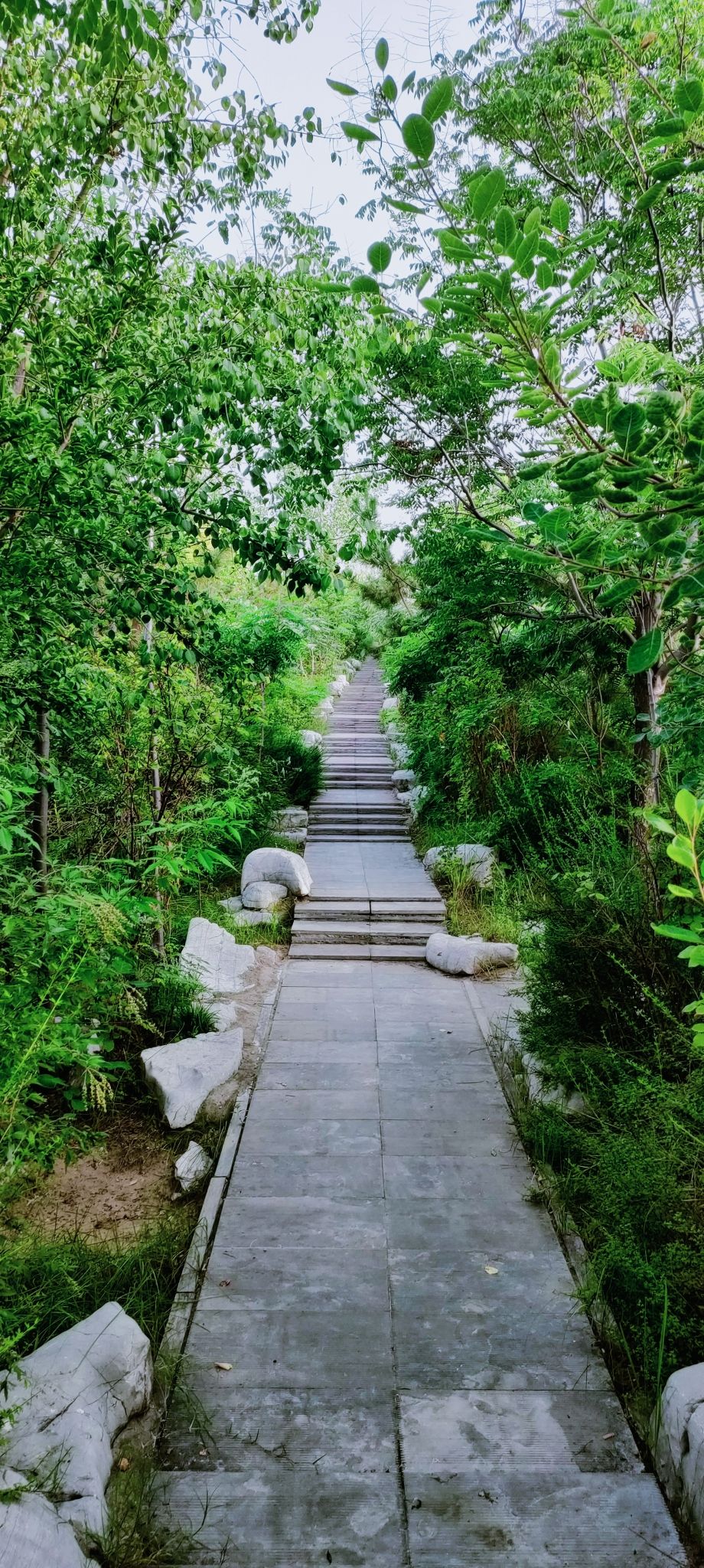 宋金河生态公园旅行图片
