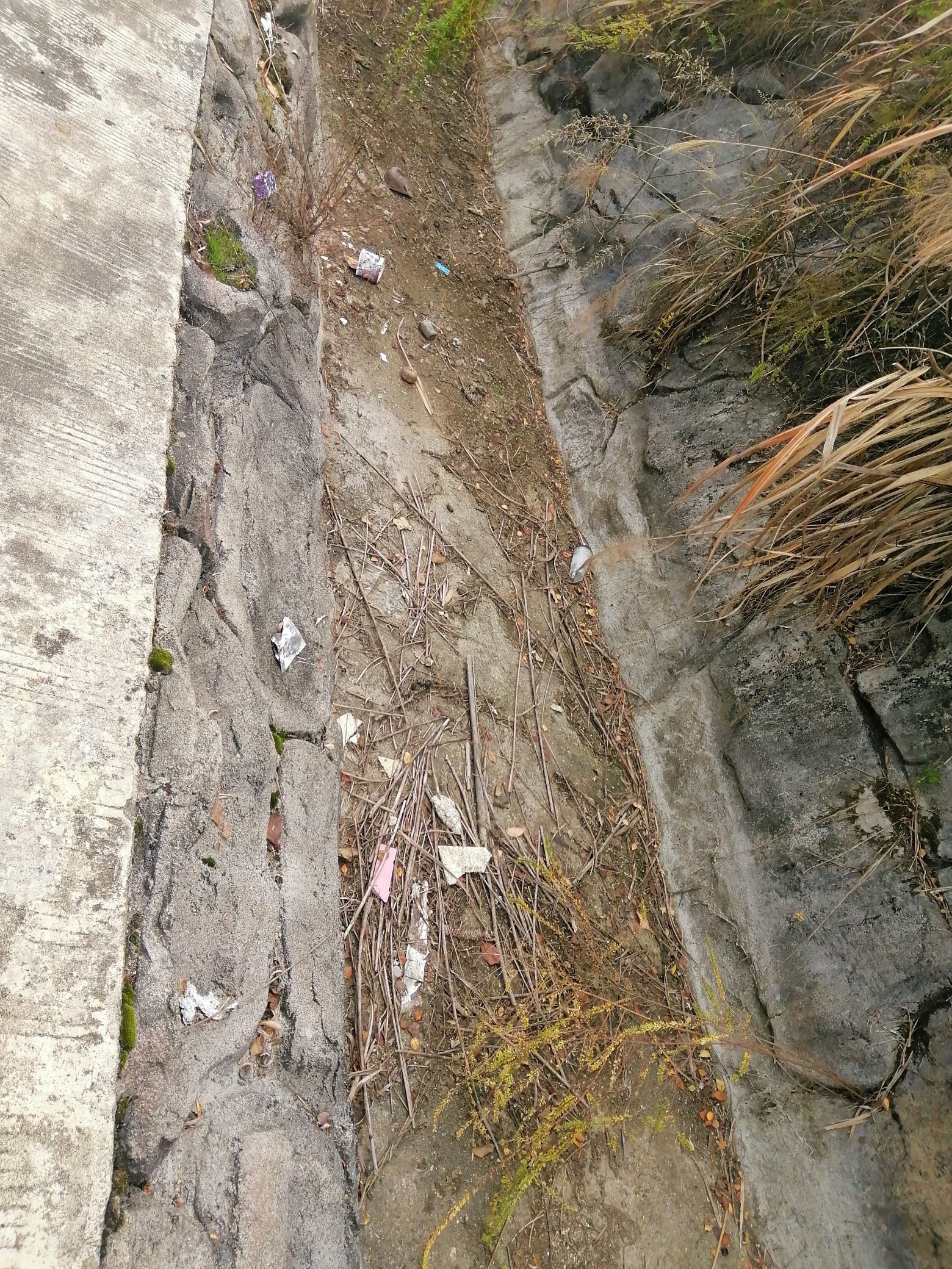 青峰寨生态旅游景区旅行图片