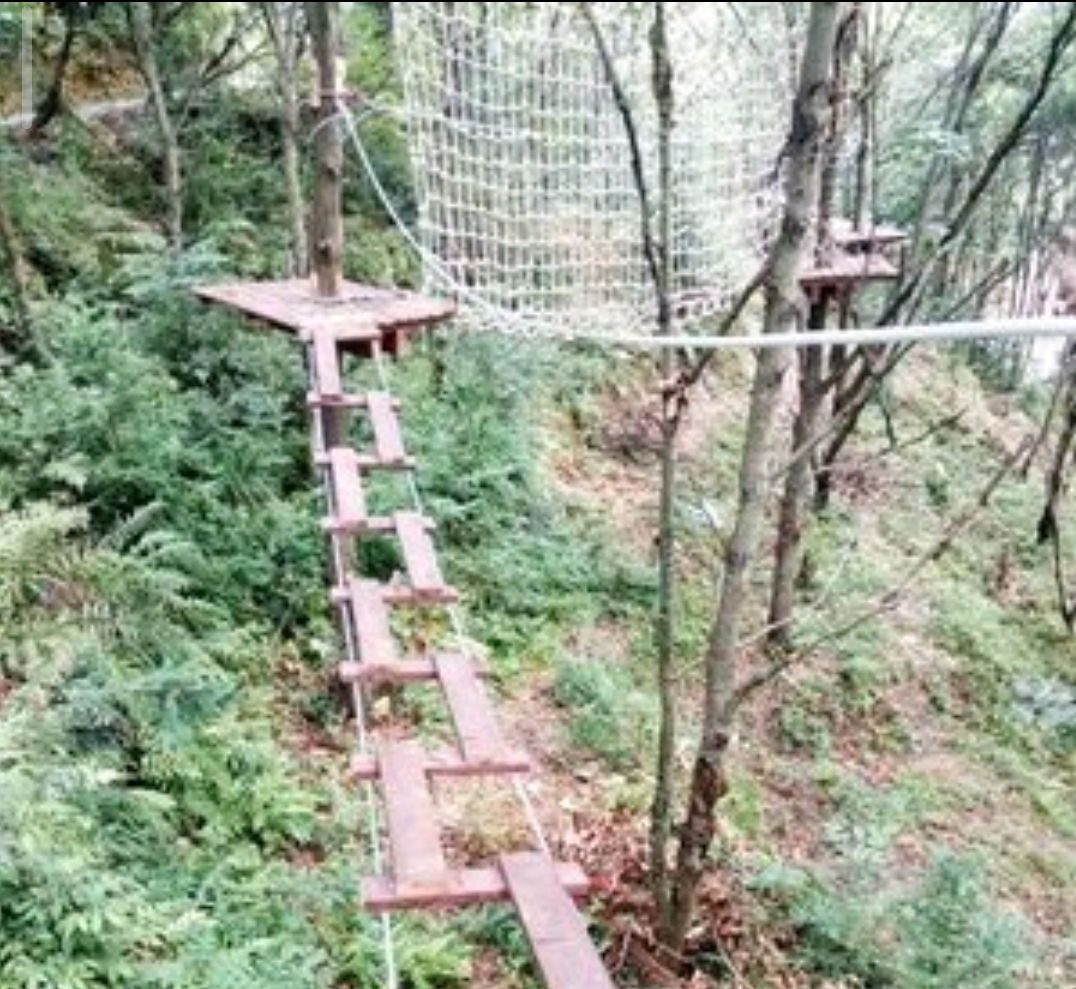 青峰寨生态旅游景区旅行图片