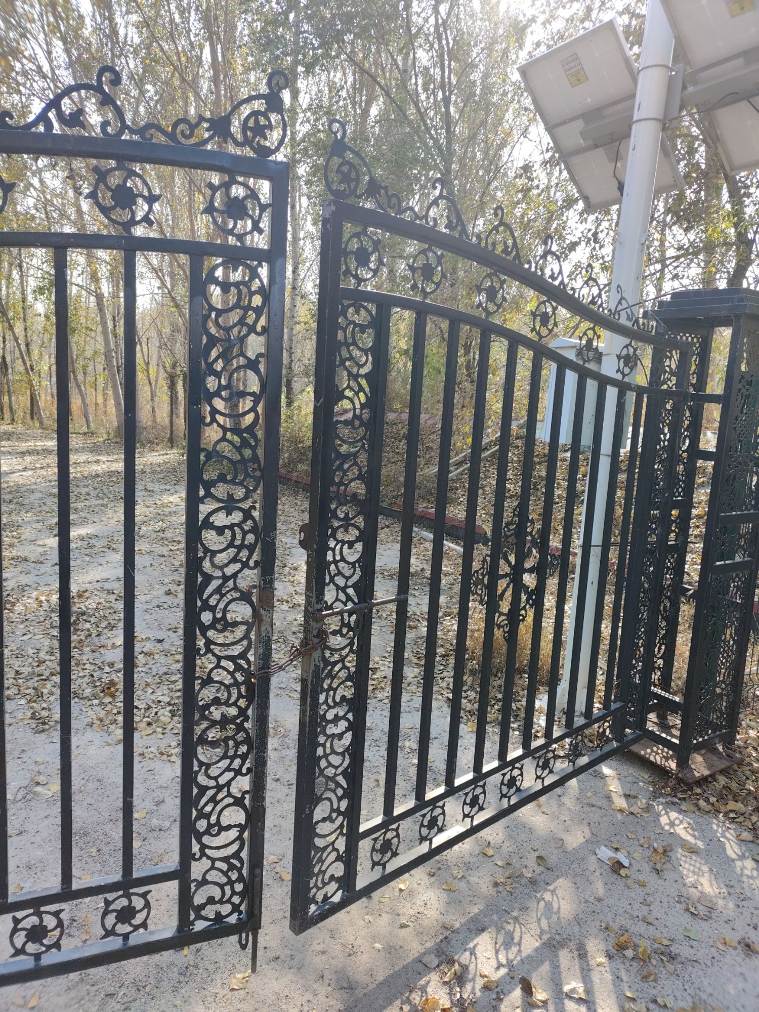 黑鱼泡湿地公园