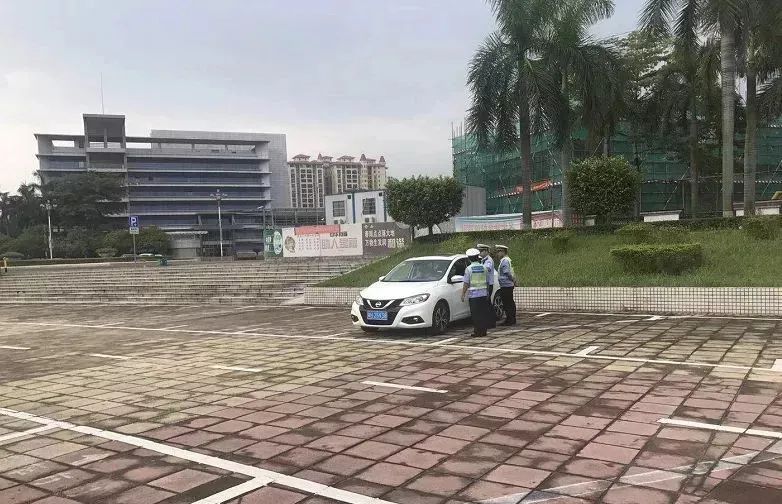 市府广场旅行图片
