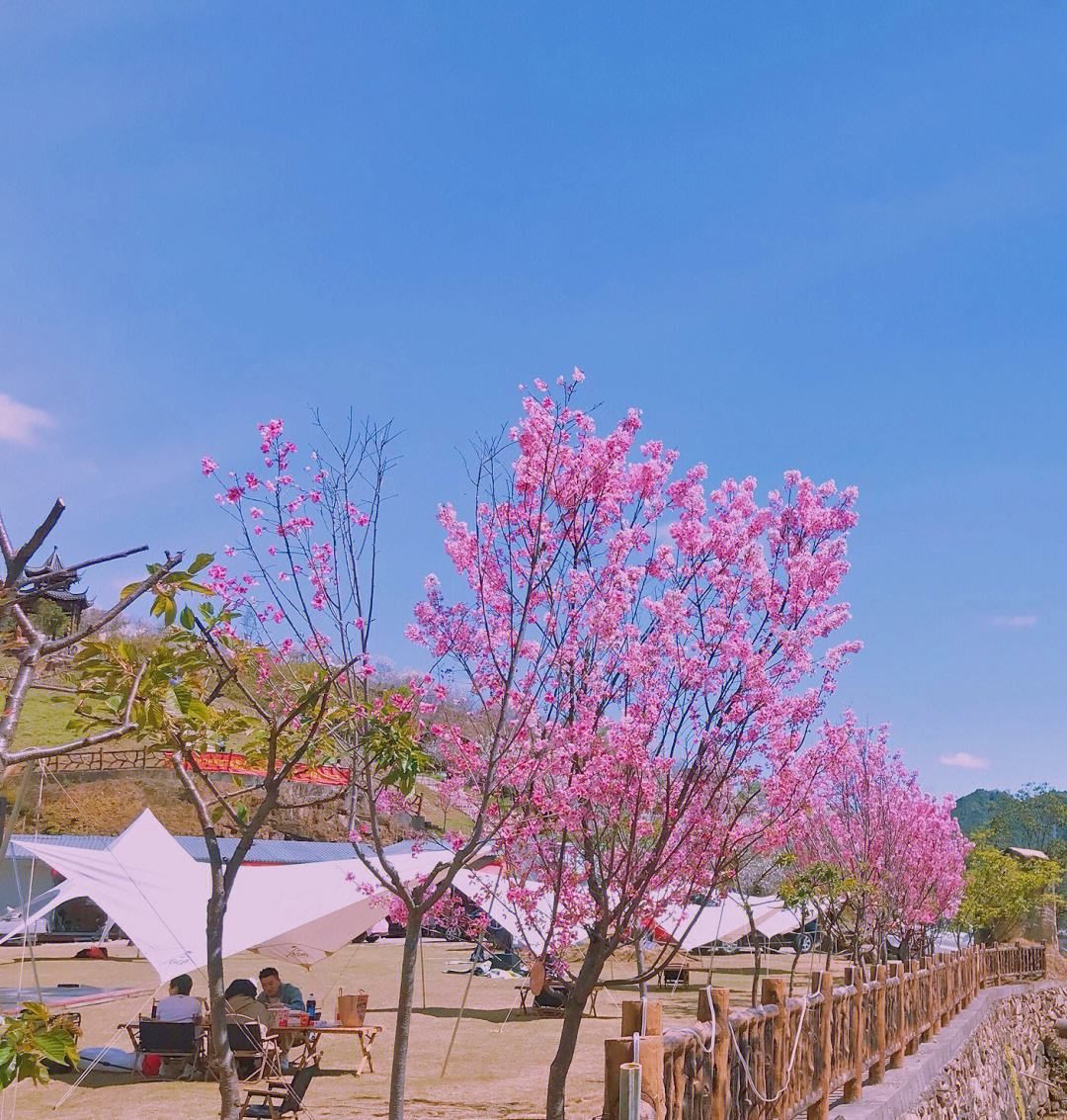 那贵樱花园