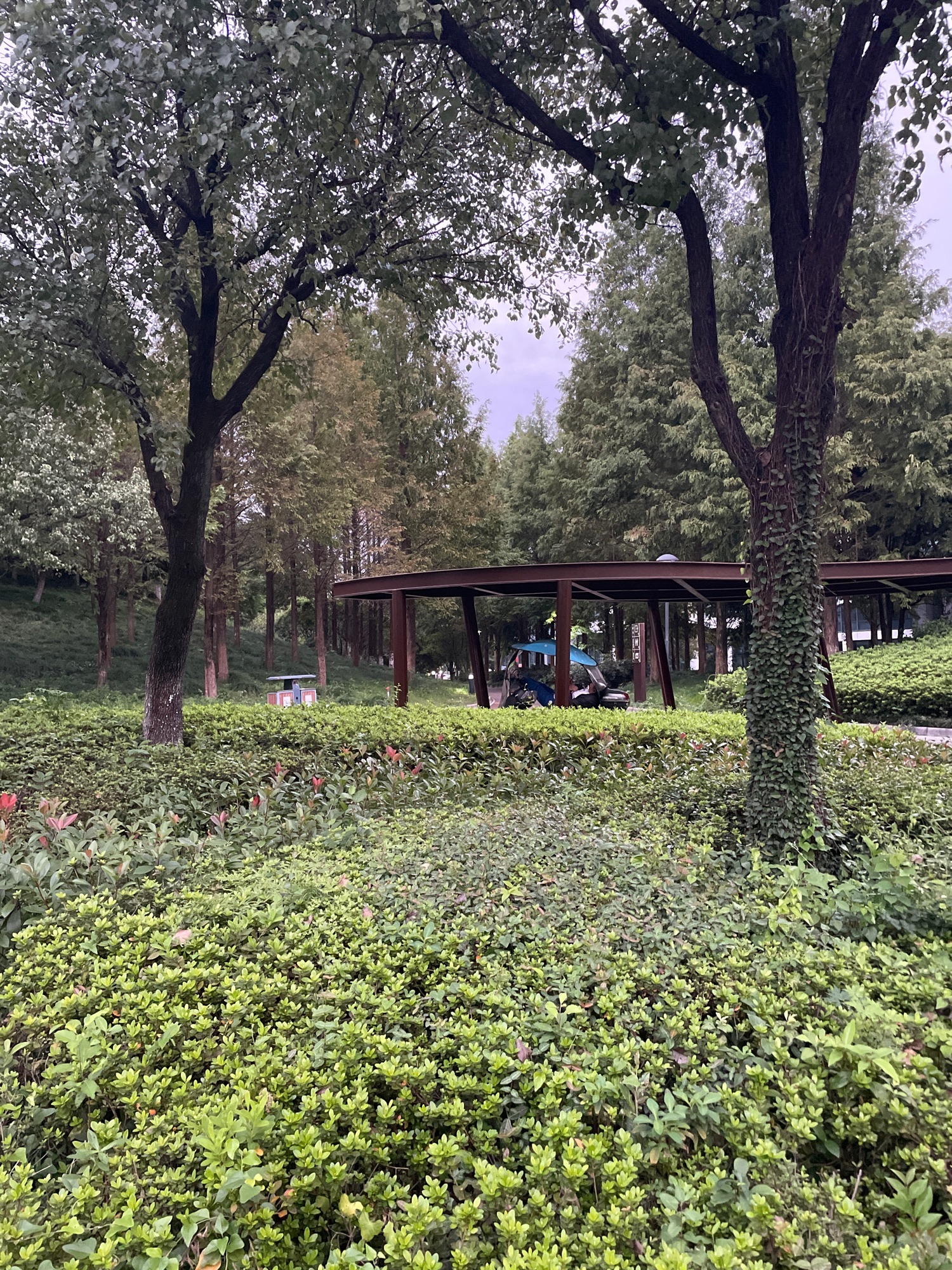 屯山公园