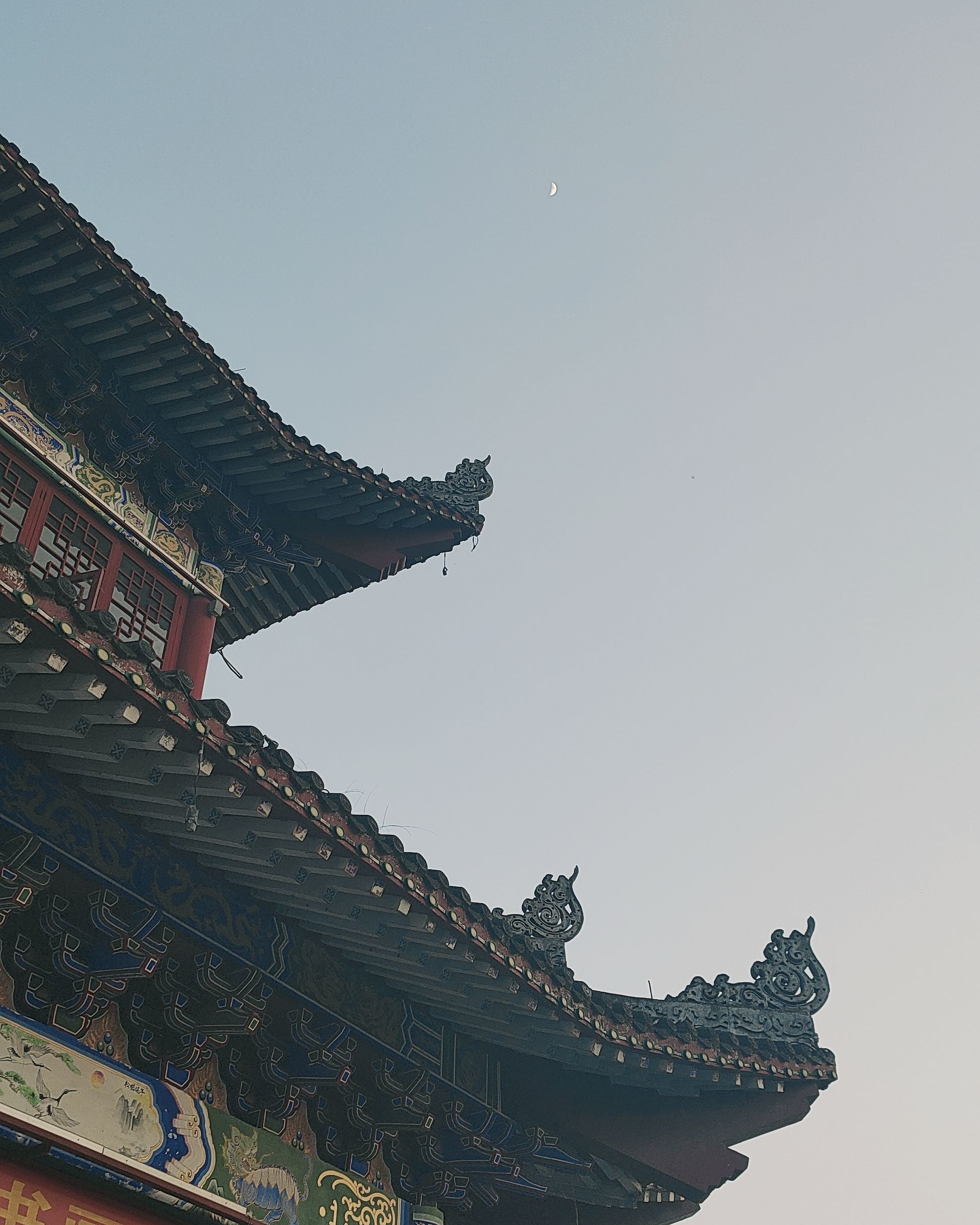 福寿广场旅行图片