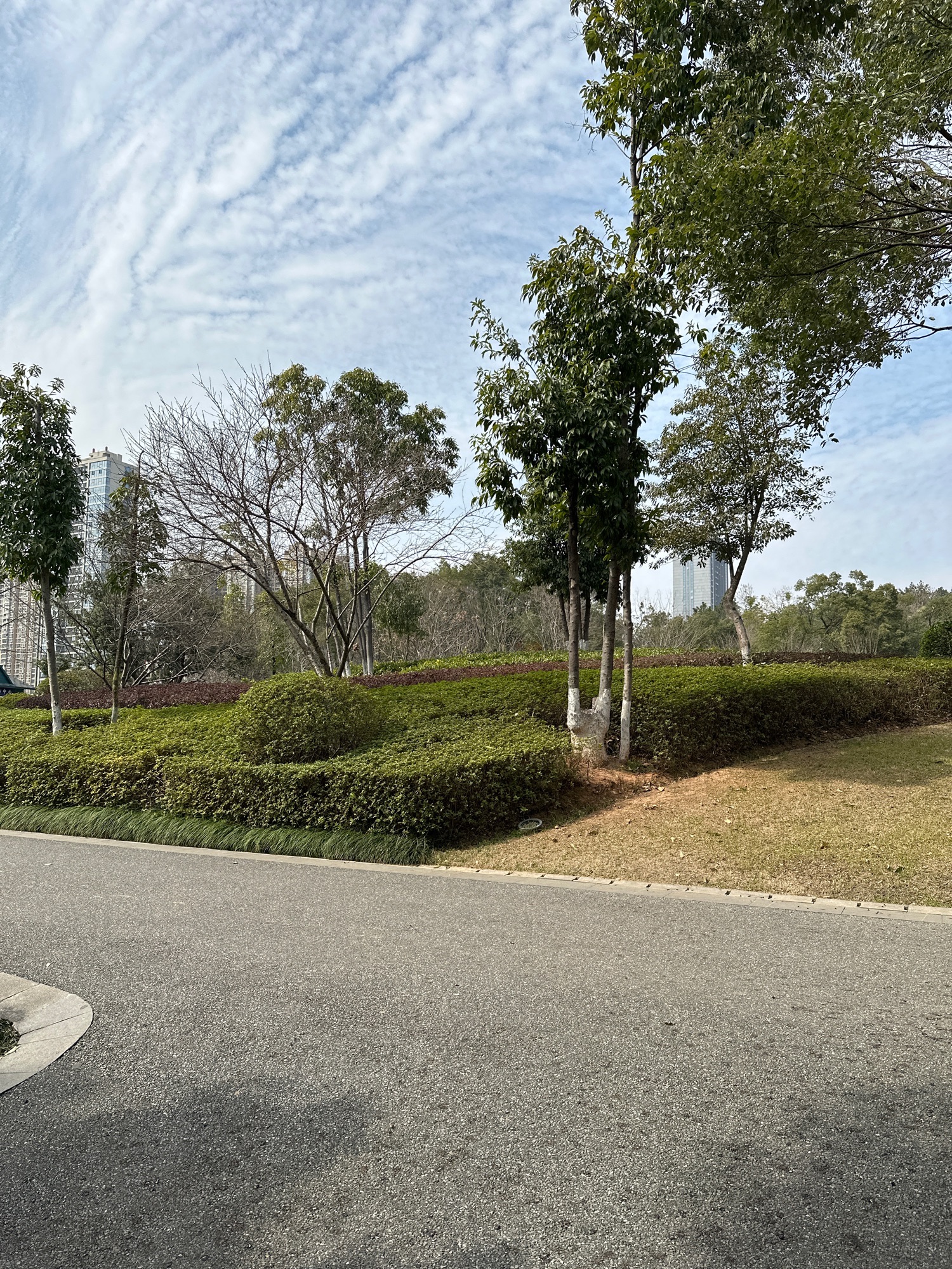 八方公园旅行图片