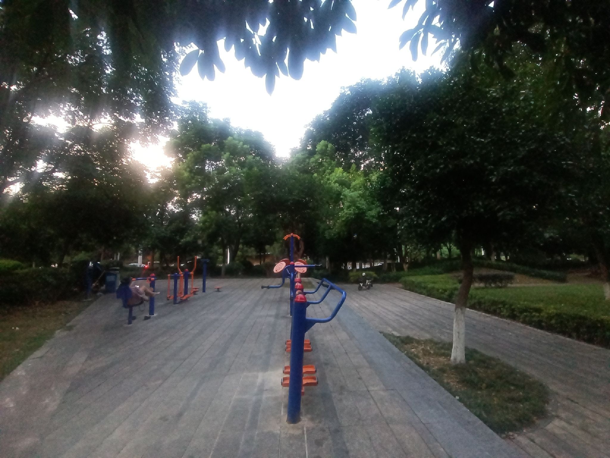 红橡公园