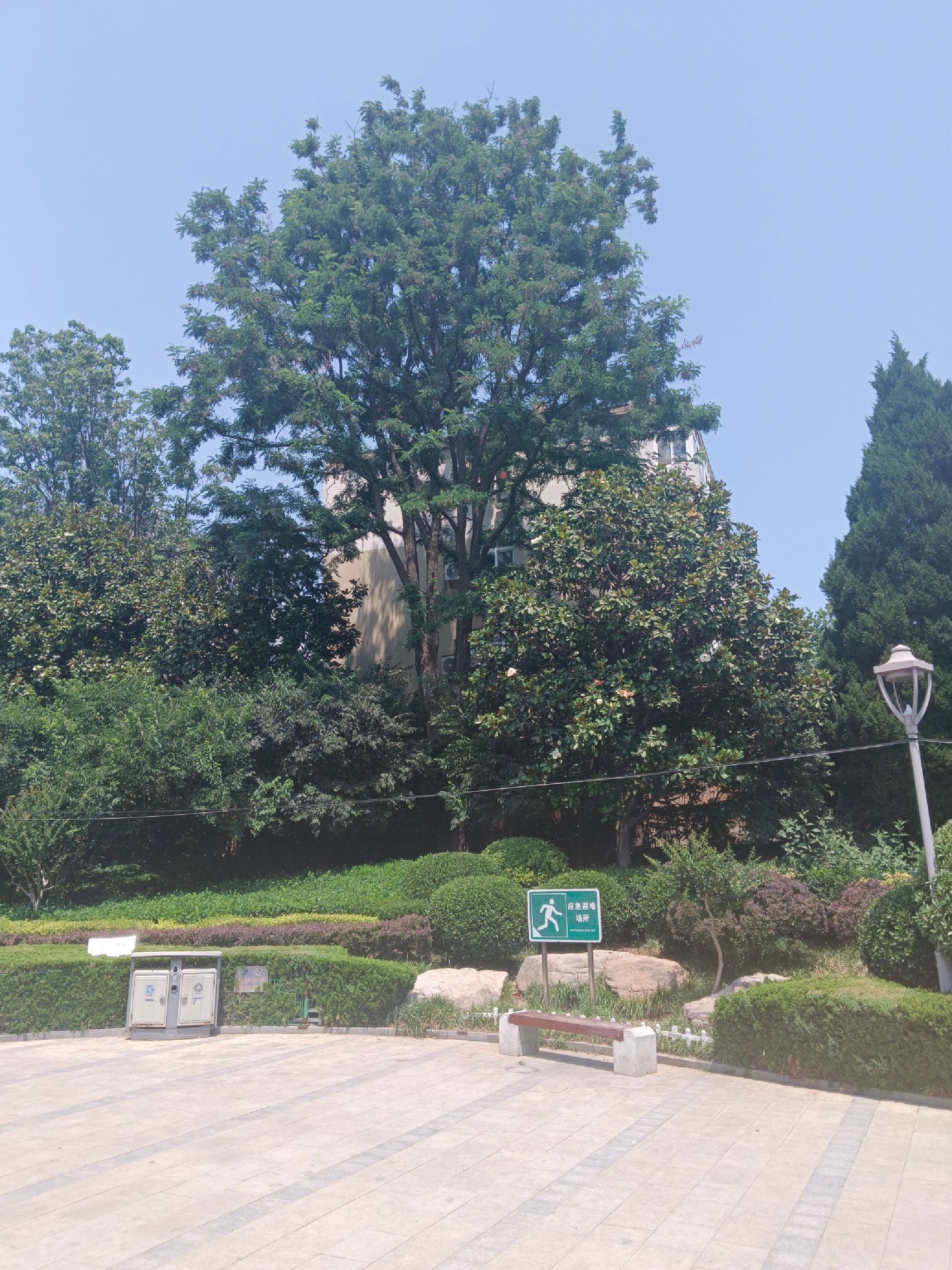 君峰路公园