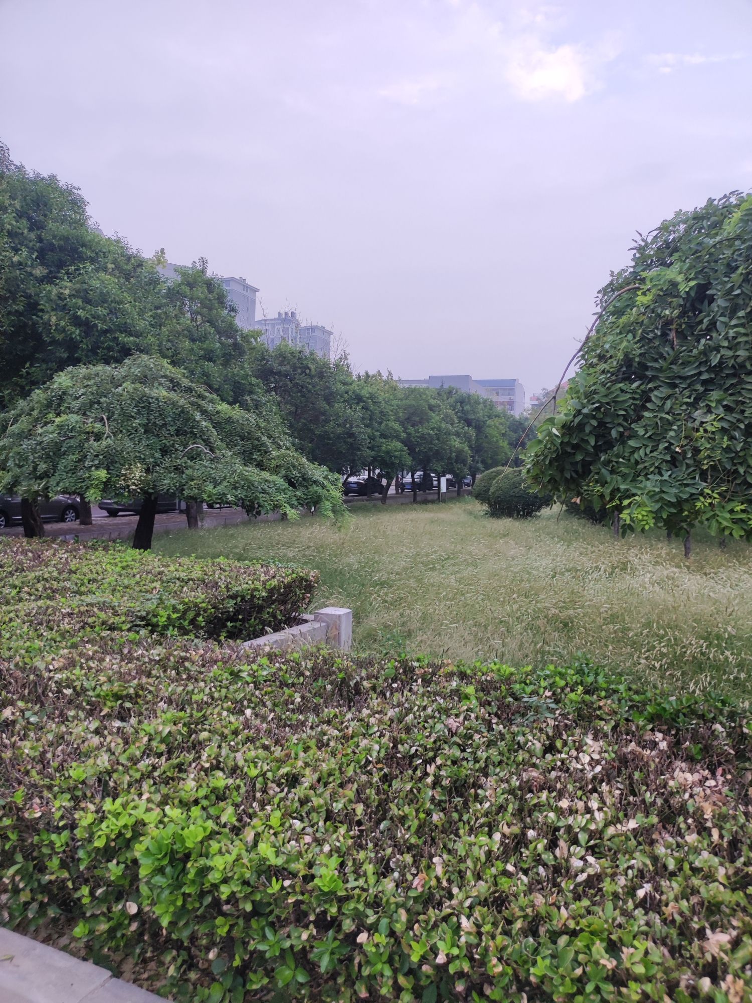 舞雩台广场旅行图片