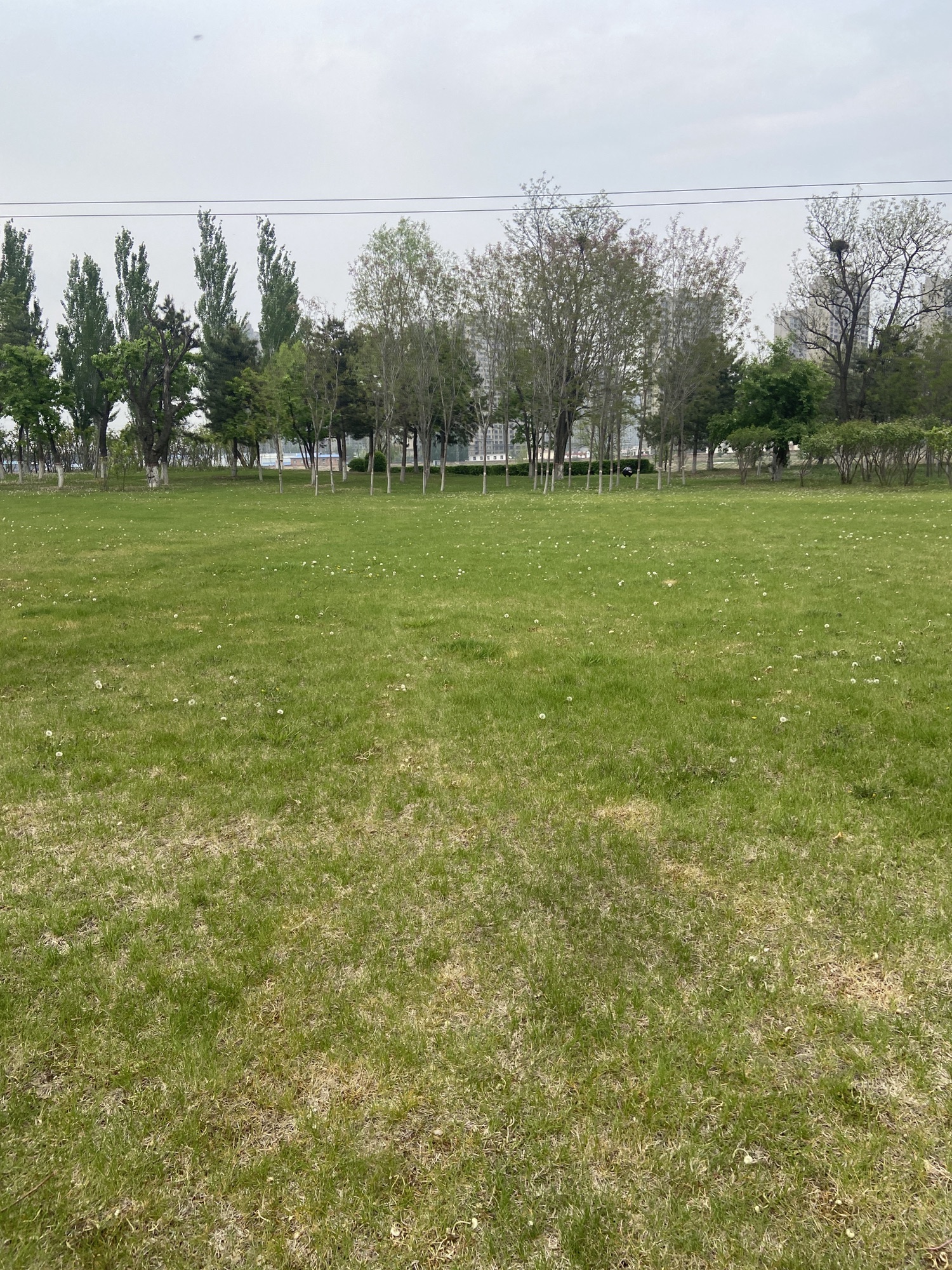 十里河森林公园旅行图片